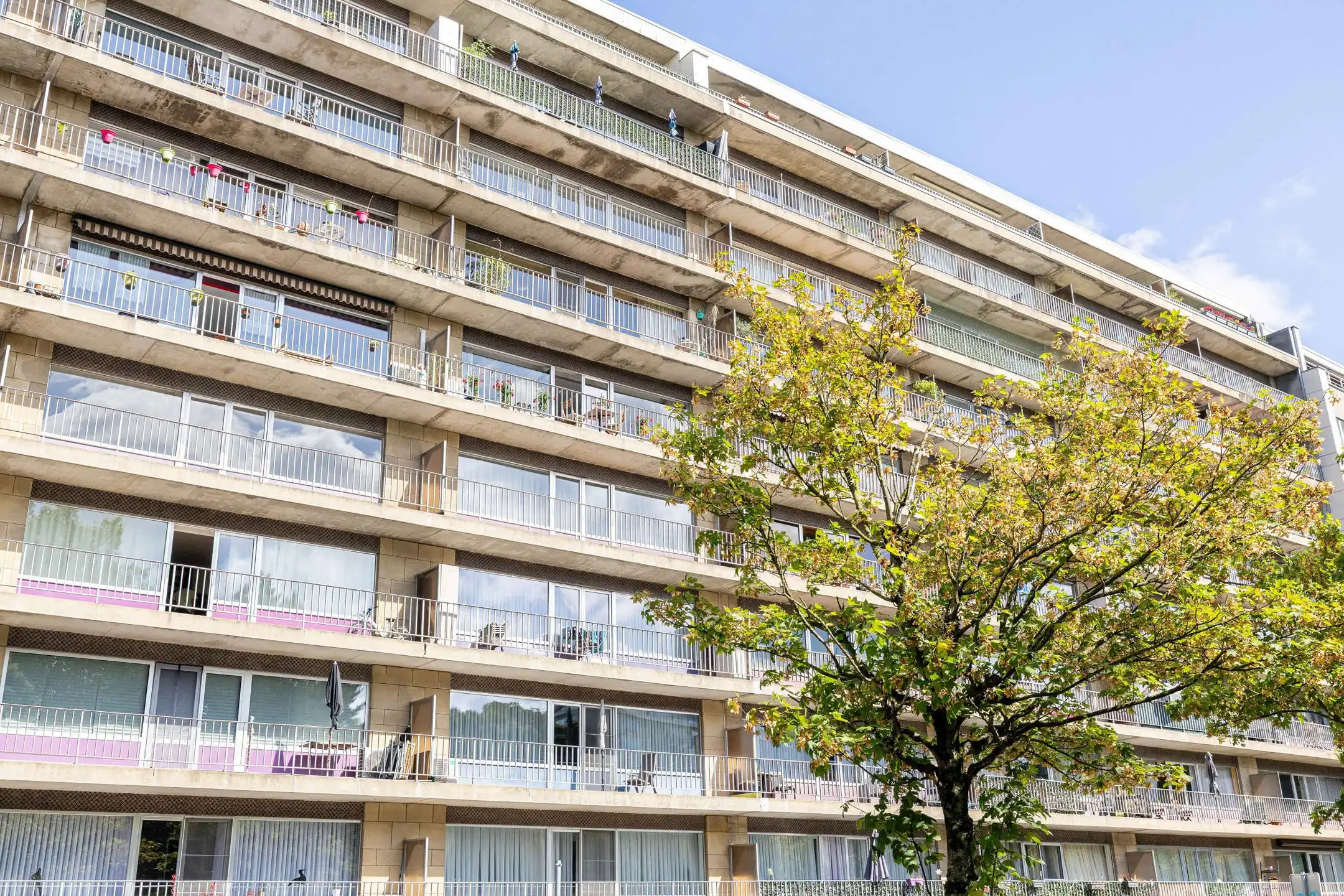 Mooi 2 slpkmrs appartement met uitzicht op het Park Albert foto 17