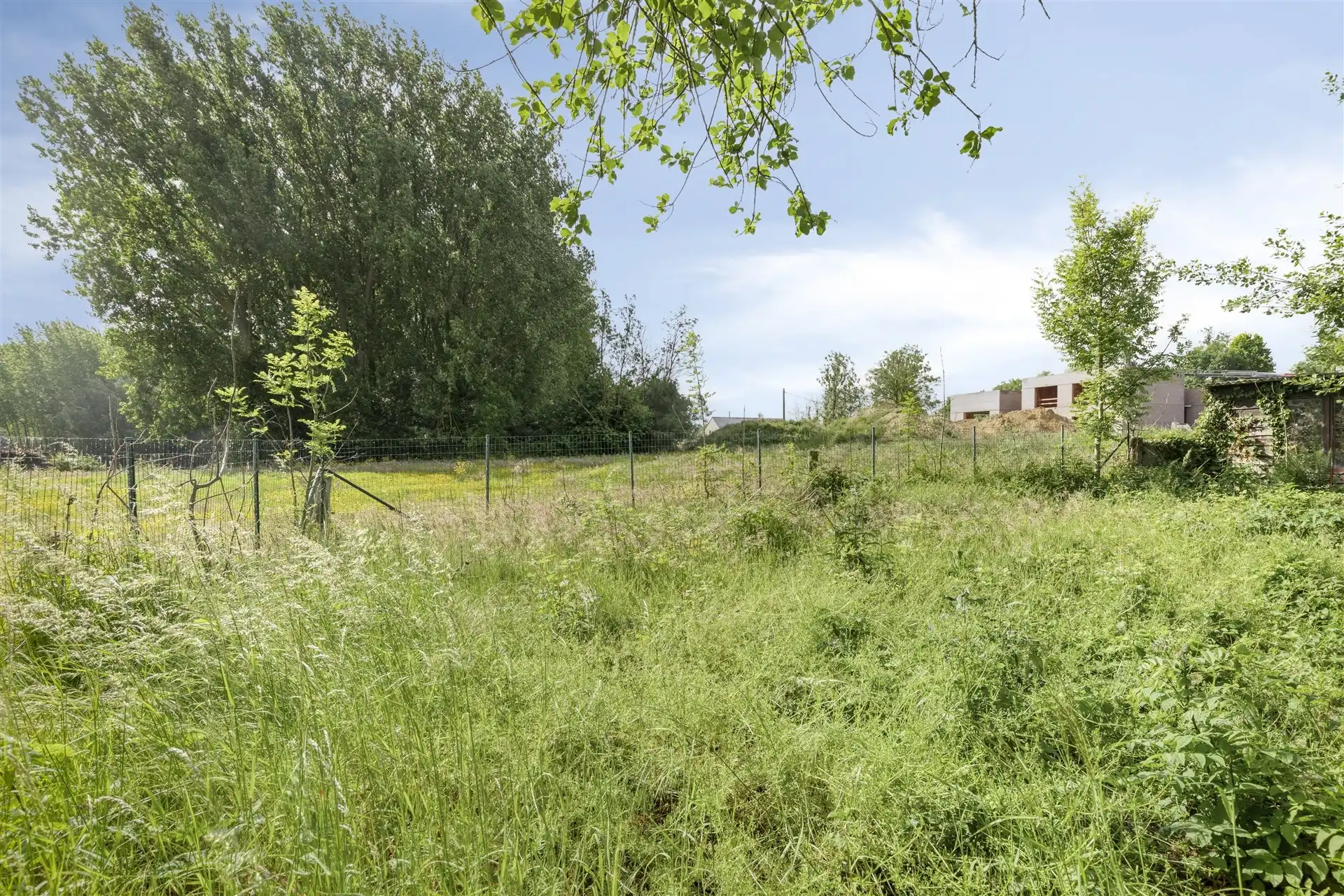 Op te richten woning te Vlierzele foto 15