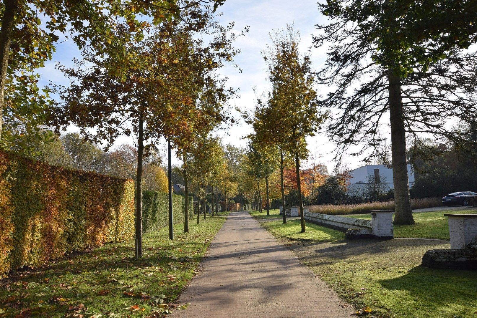 Residentieel gelegen perceel bouwgrond in één van de mooiste dreven van Aalter foto 6