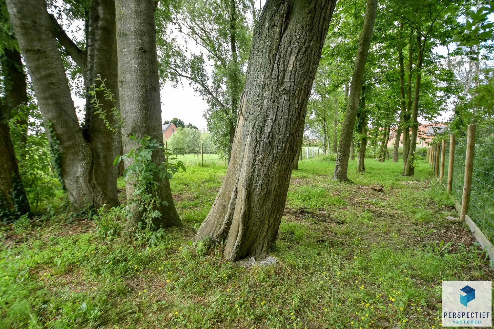 Landelijk gelegen ruime woning met tuin, kleine weide & bijgebouw gelegen in Oedelem op  1 365 m² foto 31