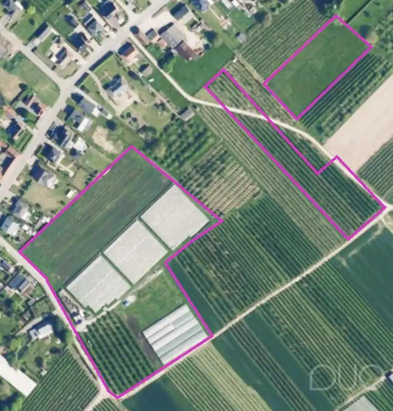 Pachtvrije landbouwgrond van 3ha 65a 46ca met volledige uitrusting – Gippershovenstraat, Zepperen foto {{pictureIndex}}