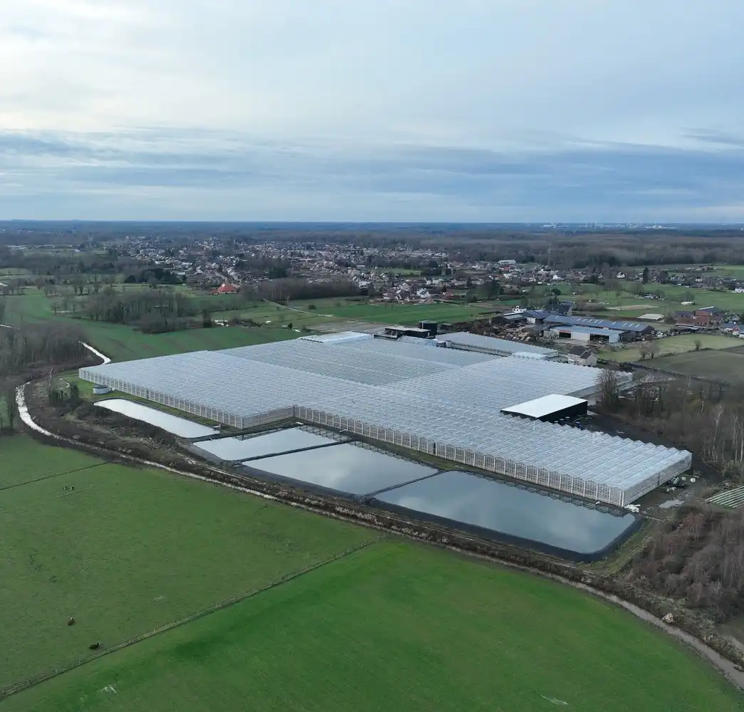 Aardbeienbedrijf met WKK ter overname foto 3