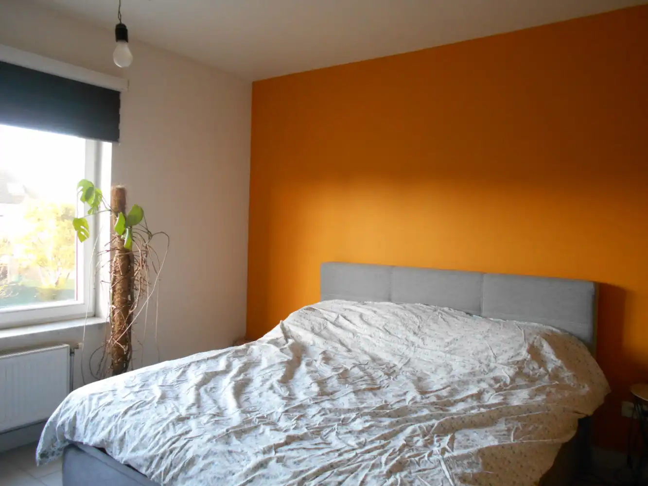 Gezinswoning, 3 slaapkamers, tuin. foto 19