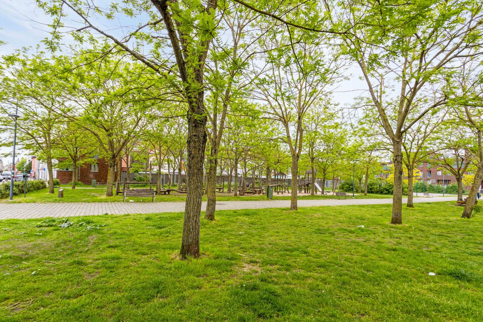 Gerenoveerde woning met stadsterras aan het Acaciapark foto 3