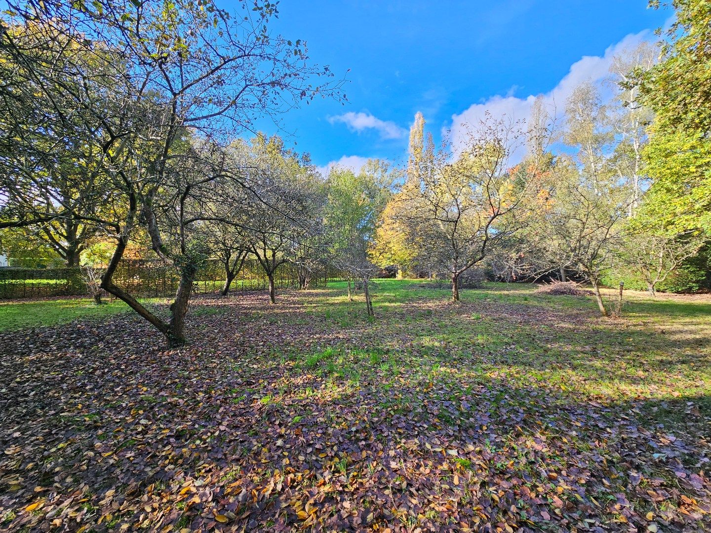 Ruime villa op 1,15 ha  foto 25