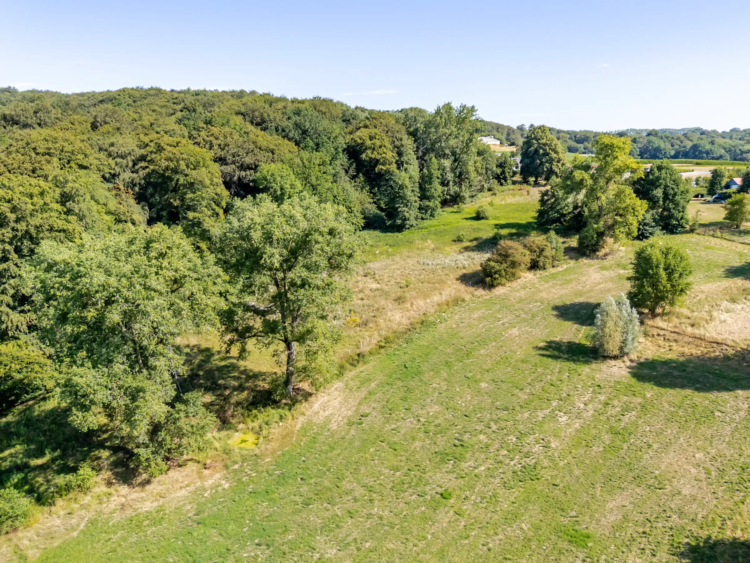 Uitzonderlijke bouwgrond met 14.220 m² aan de Kanarieberg foto 11