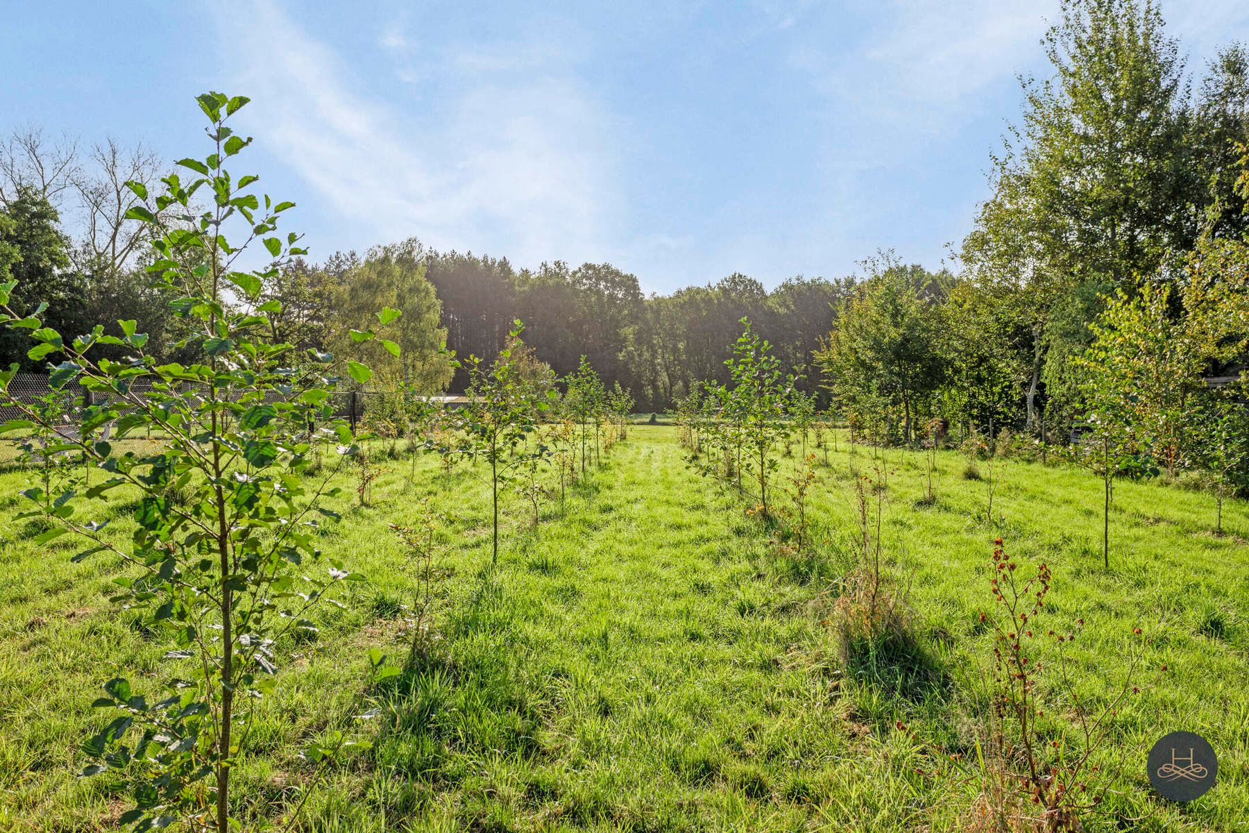 Leuke woning op groot en groen perceel van 23a90ca foto 26