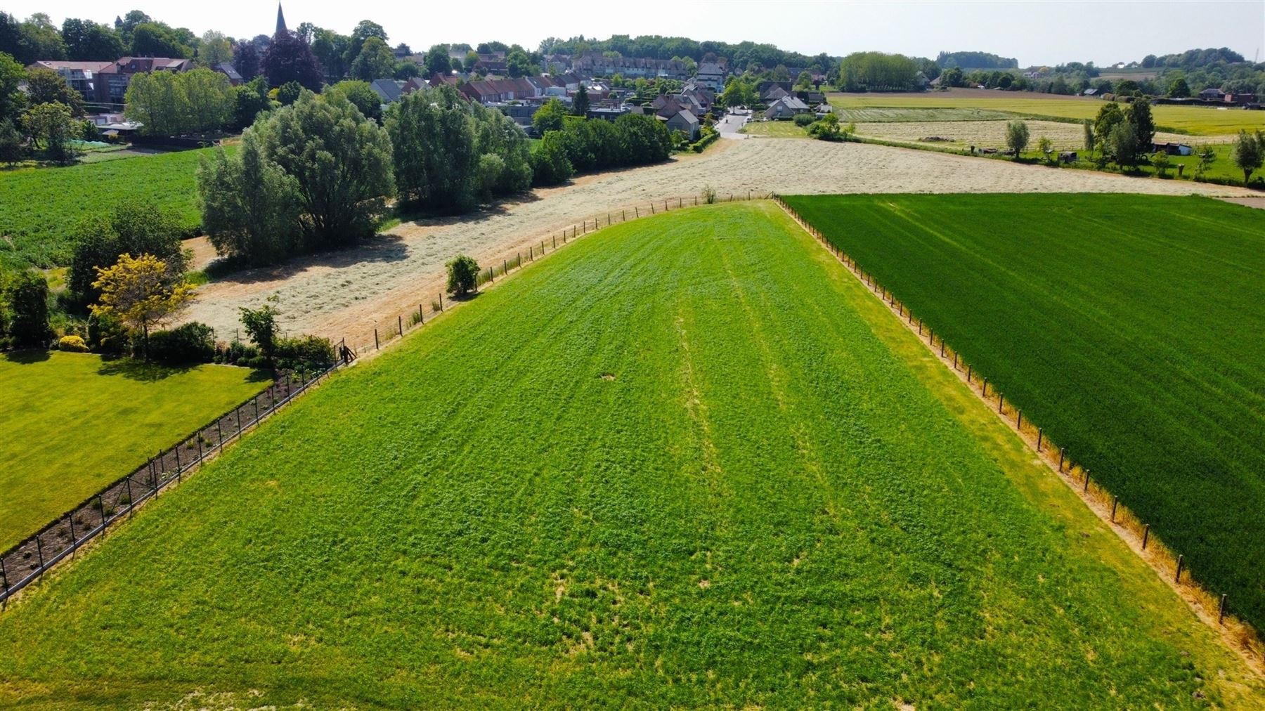 Hoeve met weide op 5555m² met zicht op Tiegemberg foto 5