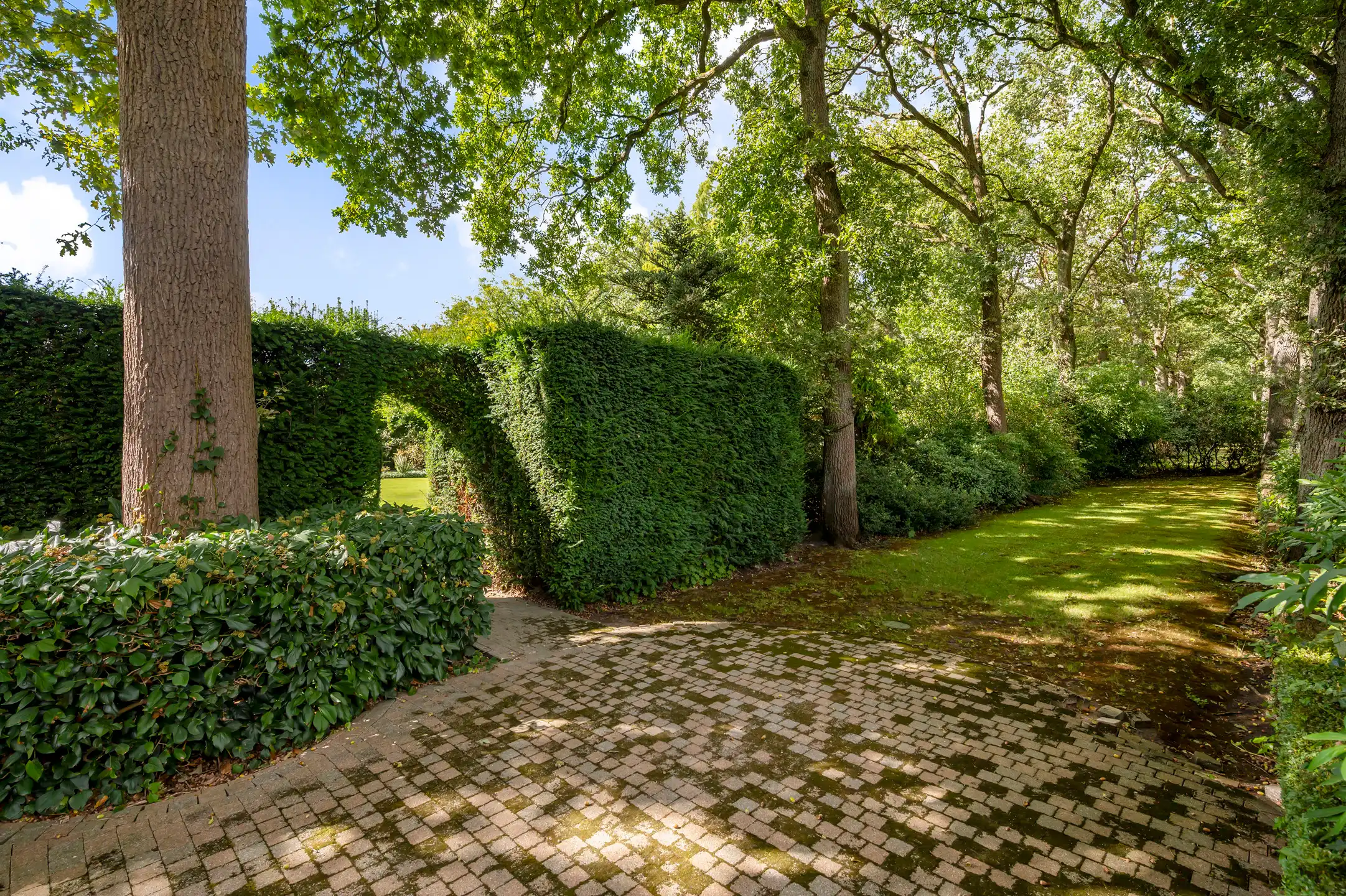 Gelijkvloerse villa op ca. 3.660 m² met parktuin! foto 17