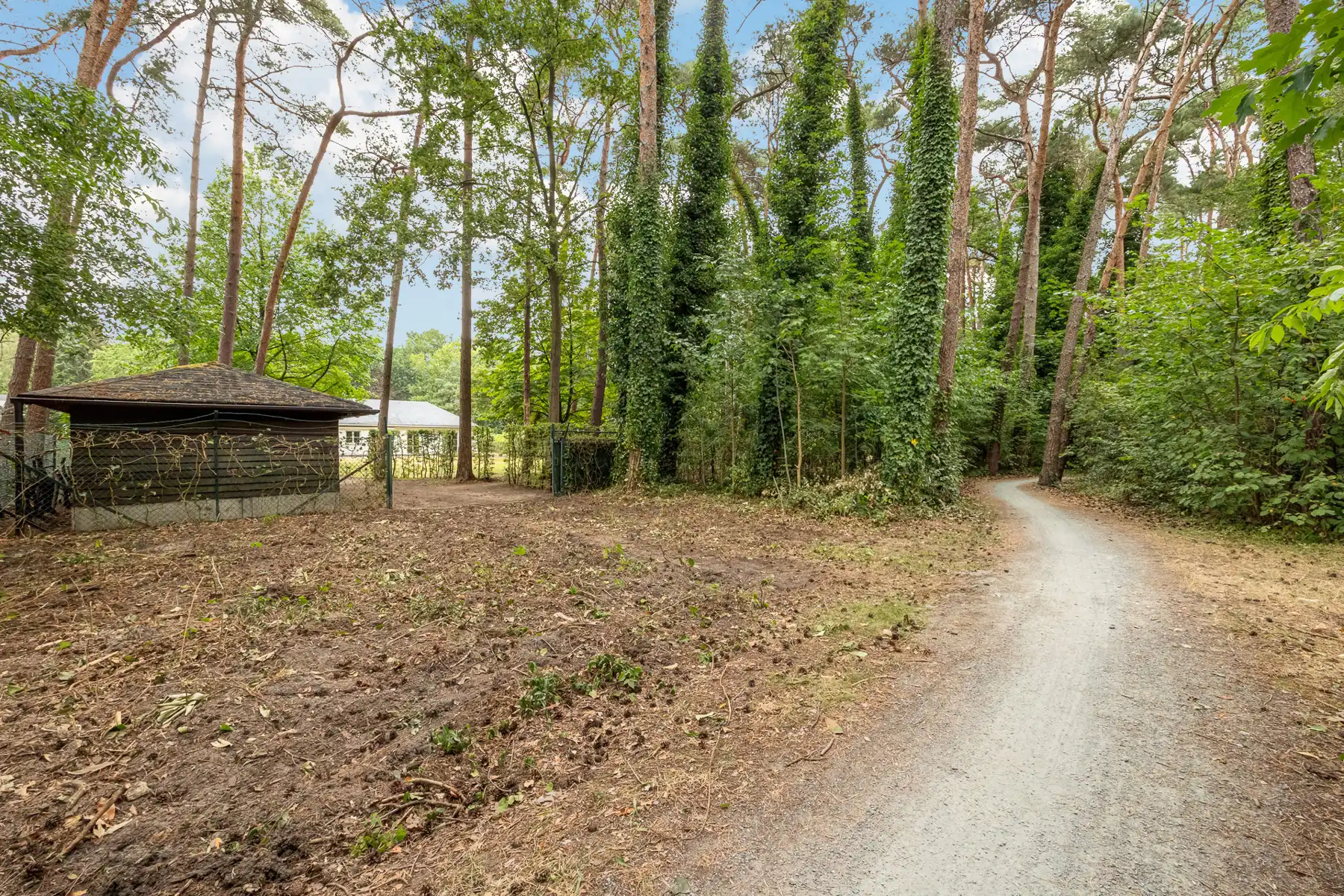 Rustig gelegen te renoveren gelijkvloerse villa op 2265 m² foto 11
