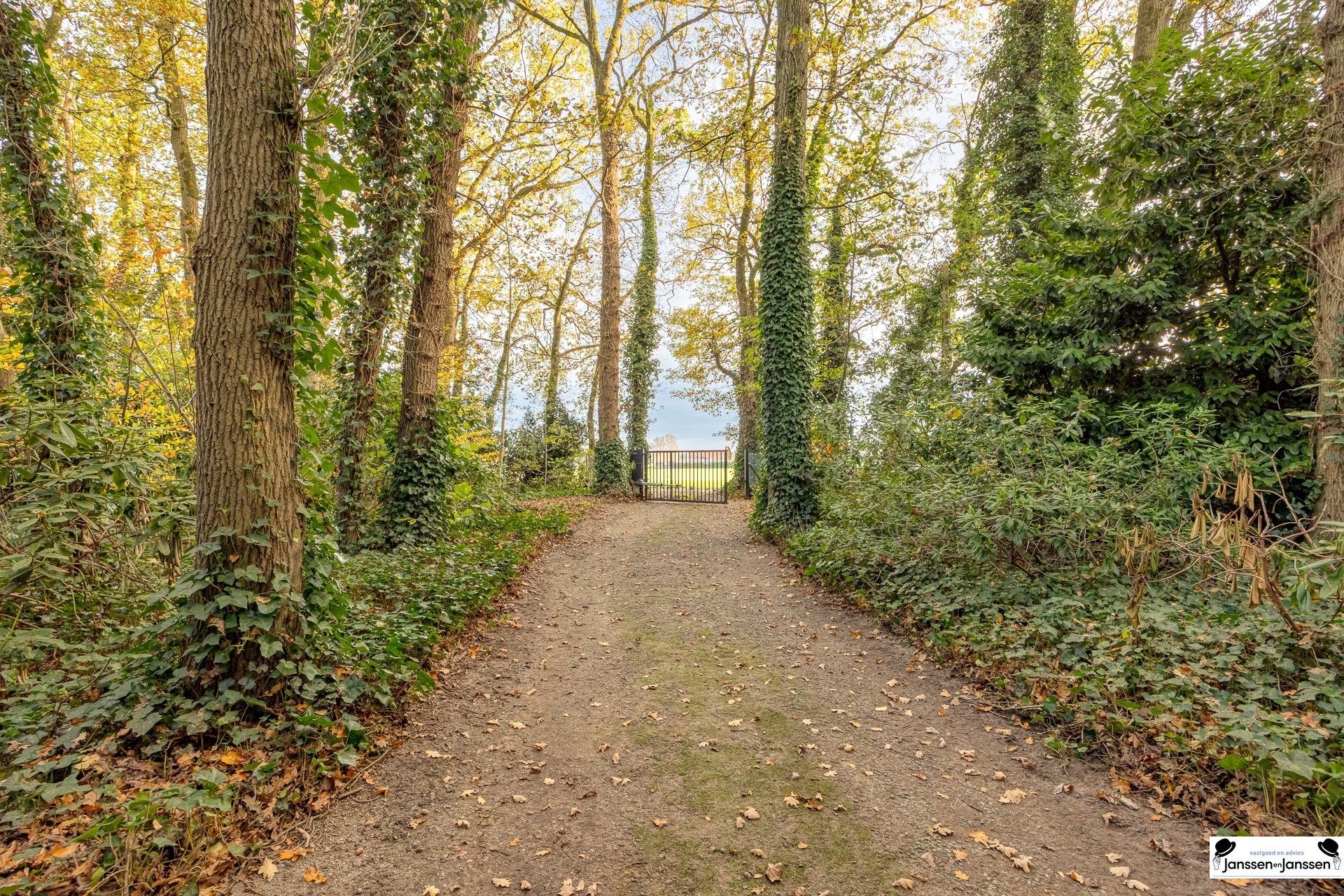 Landelijk gelegen woning op een perceel van ruim 6.000 m² foto 3