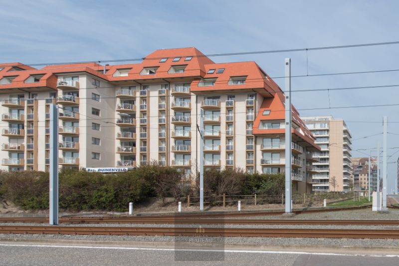 Buitenstaanplaats BP 420 - Residentie Duinenveld. foto {{pictureIndex}}