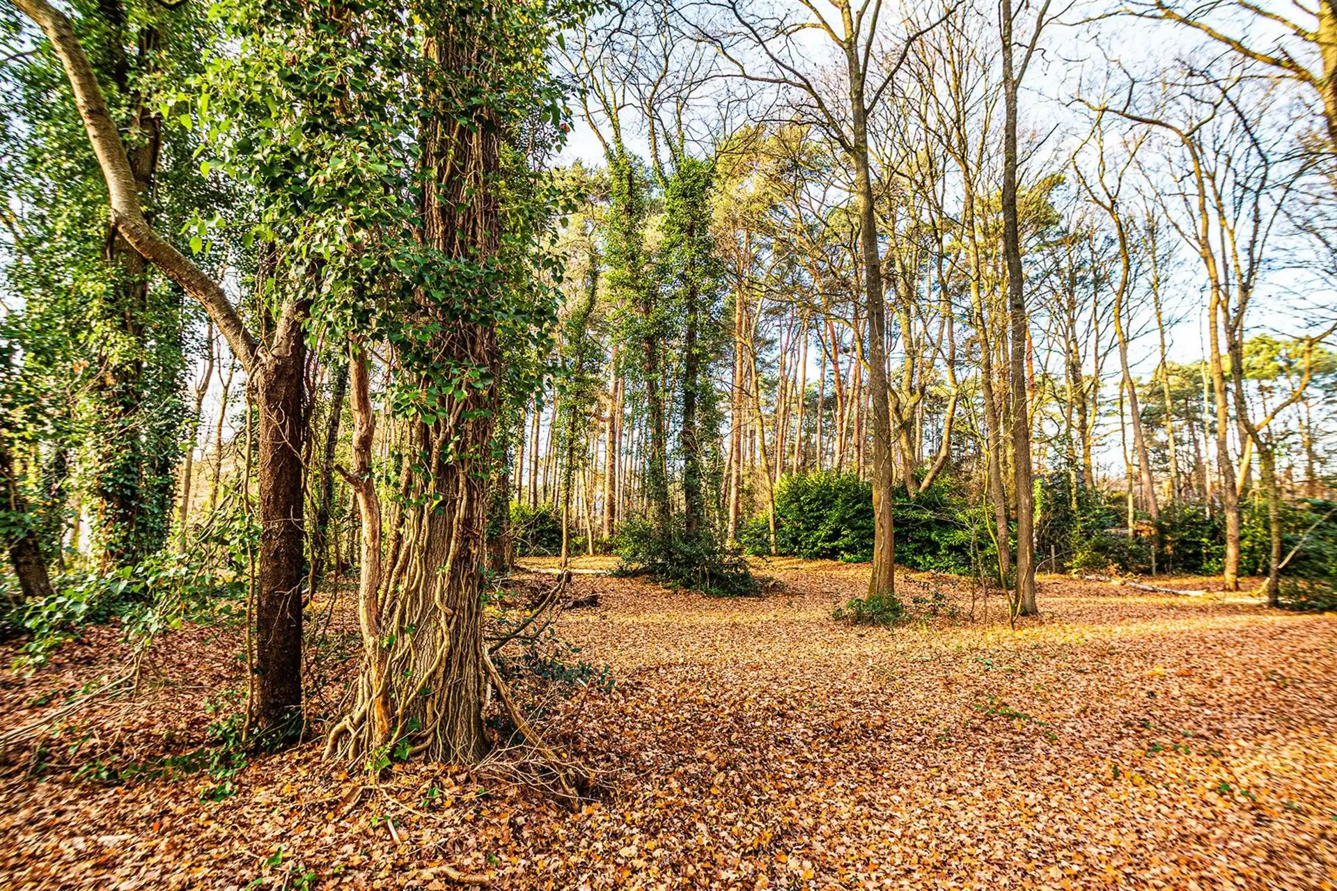 Exclusieve bouwgrond van 4.370 m² in “Golf & Meer”-domein foto 6