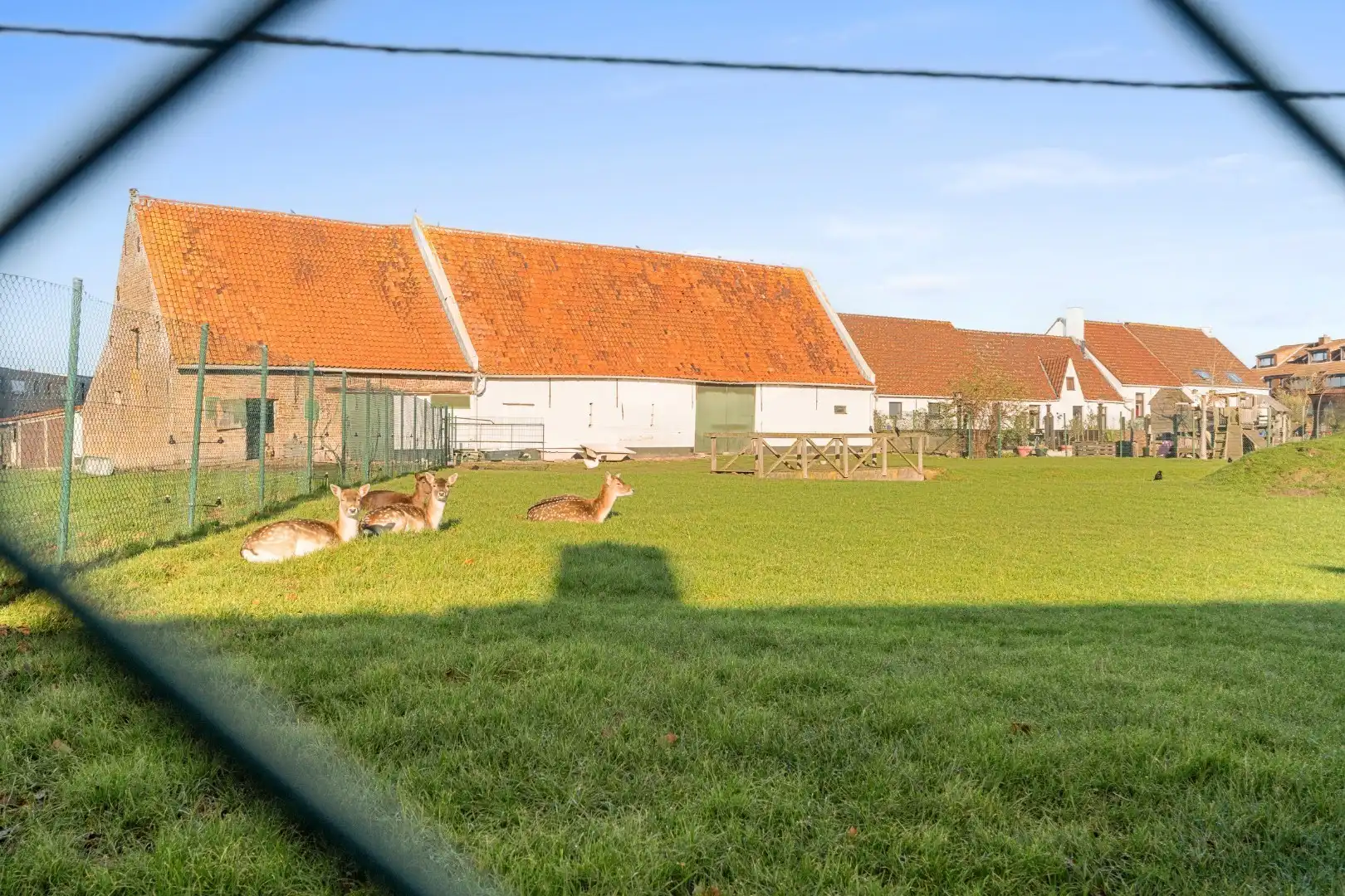 Charmante rijwoning met zonnig terras, wellnessruimte en garagebox in de Vicognewijk foto 10