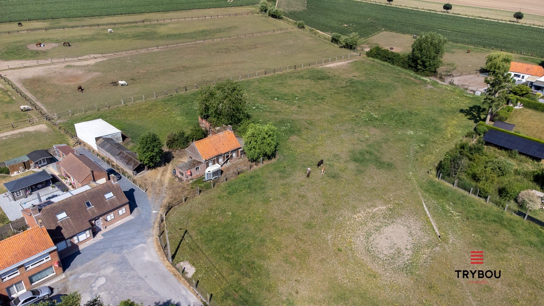 Landelijke, te renoveren woning op 9245 m² in Houthulst op rustige ligging foto 4