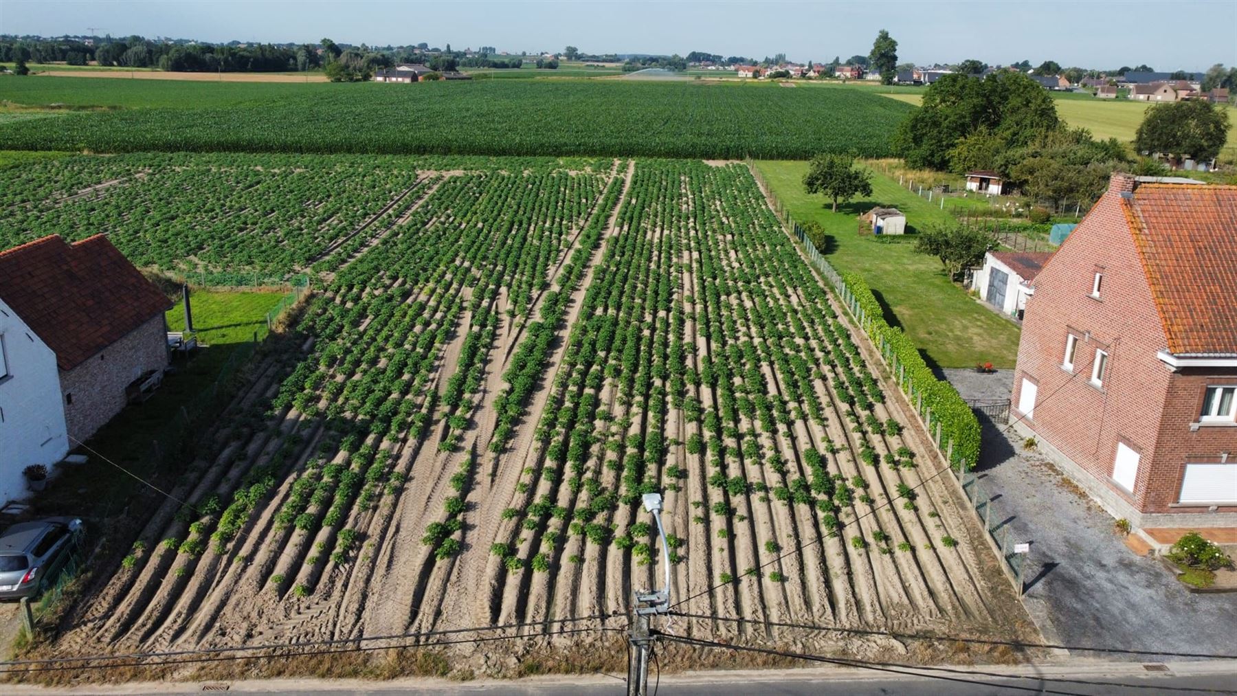 Perceel bouwgrond van 4050 m² met zuidelijke oriëntatie foto 2