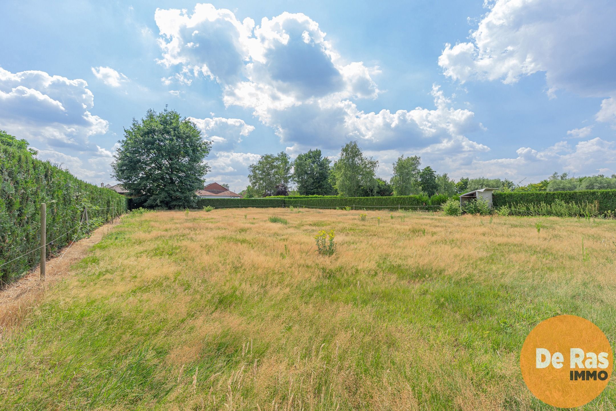 AALST – Halfopen bebouwing met villa-allure op 3114 m² foto 22