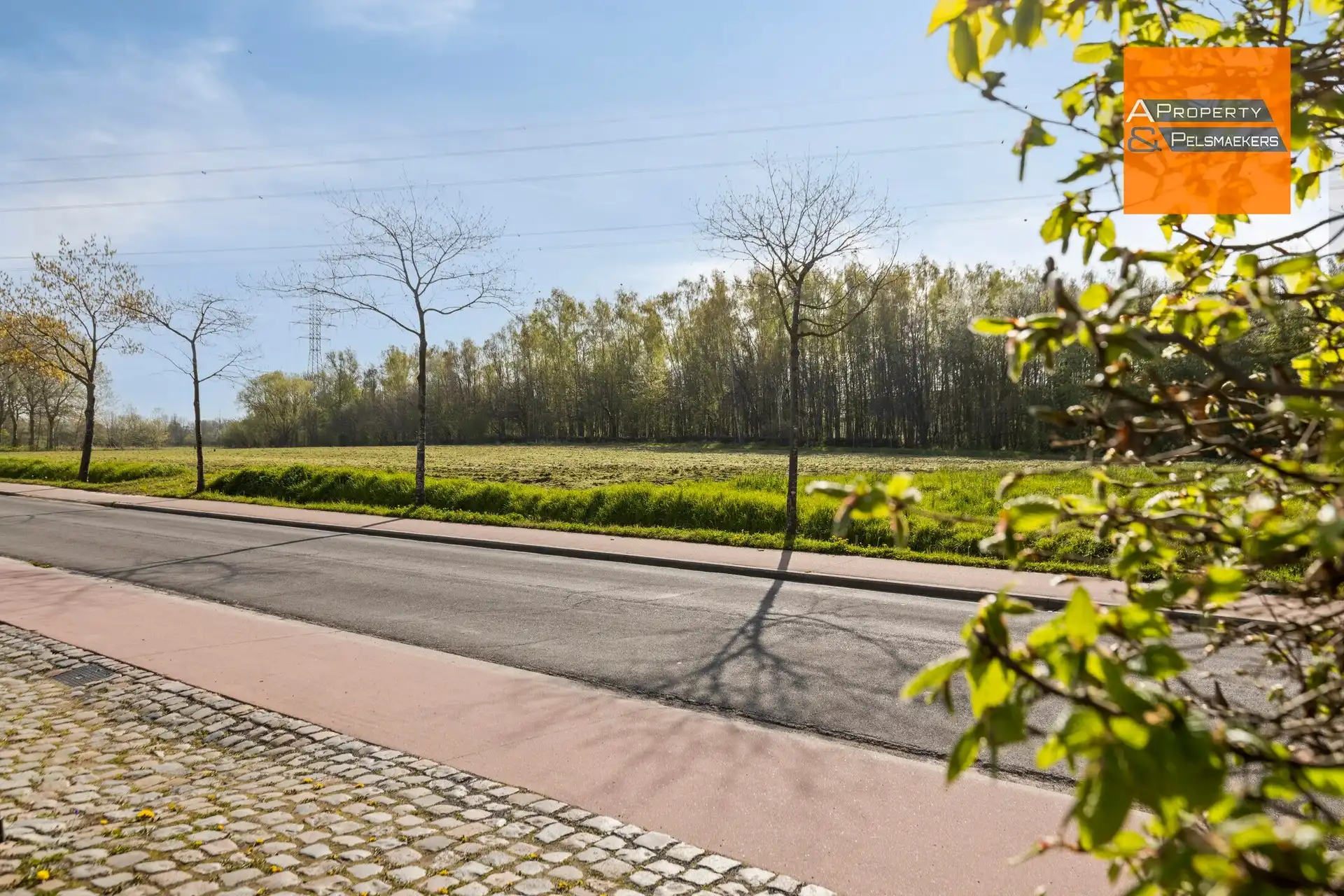 Instapklare, lichtrijke woning op topligging nabij natuurgebied Dorent foto 3