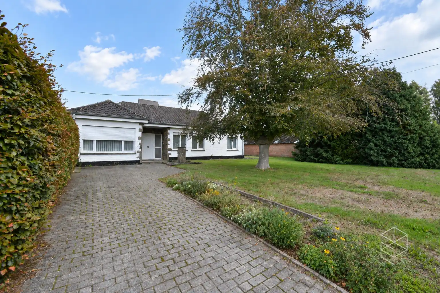 Grote loods met burelen, 3 garages, ruime buitenruimte en woning te koop in Hertsberge foto 13