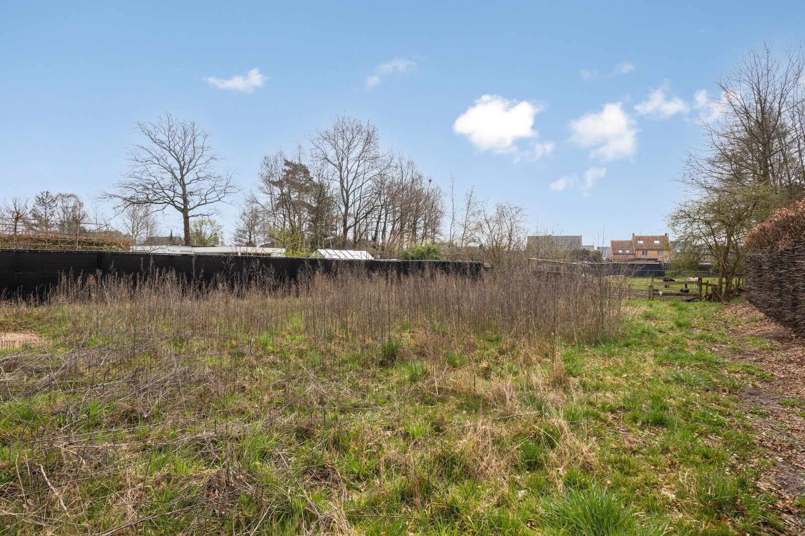 Verkoop onder registratierechten - ruime woning met 3 slpks gelegen op een zonnig perceel in Mol - Rauw !  foto 16