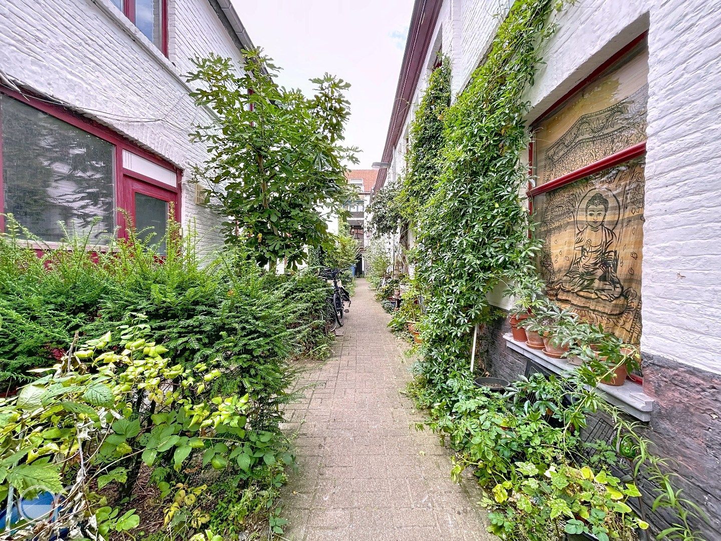 Studio vlakbij de coupure foto 7