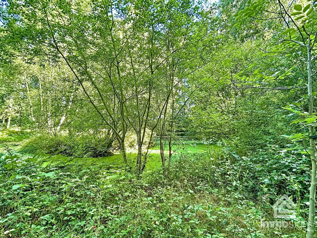 Uniek stuk grond van 9.050 m² in Grote-Brogel/Peer! foto 13