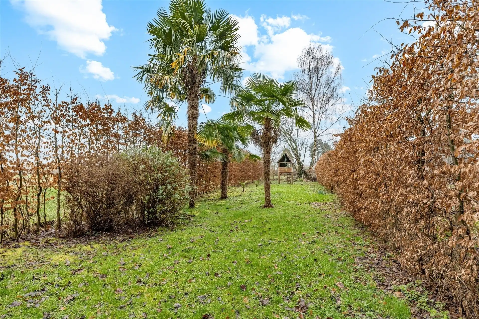 Gezellige woning met 3 slpks op een perceel van 7a 4ca foto 3
