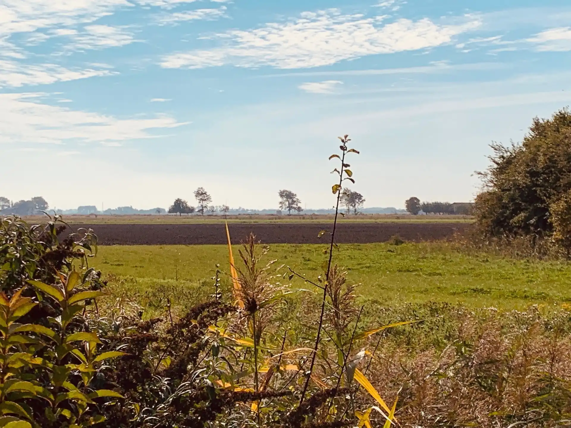 Hoofdfoto van de publicatie: Charmante gerenoveerde visserswoning met zongerichte tuin en open zicht op de polders 🌾