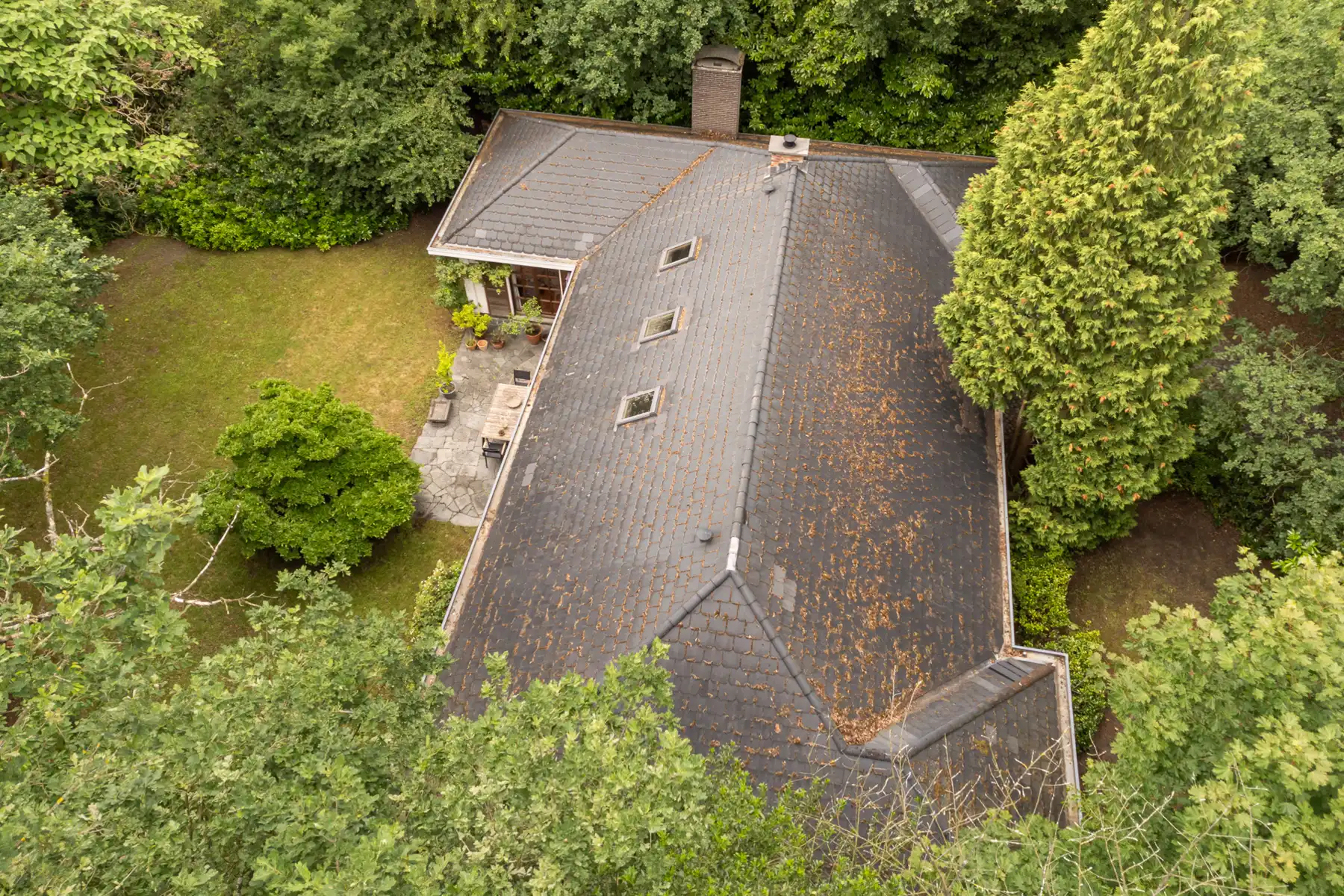 Hof Ter Linden volledig te renoveren villa op 2000 m² foto 23