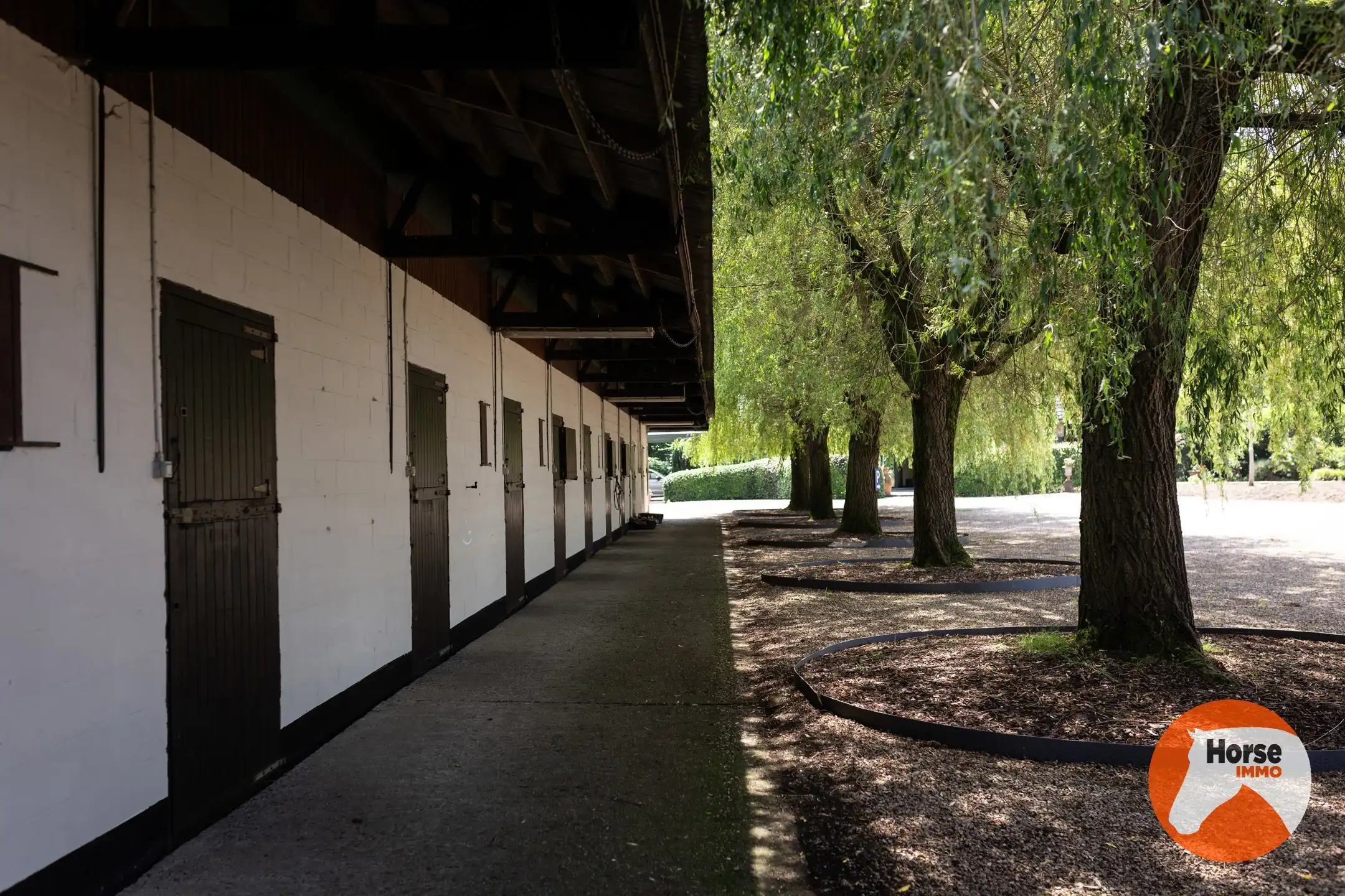 MERELBEKE -  Professioneel paardencomplex op 3,35HA foto 40