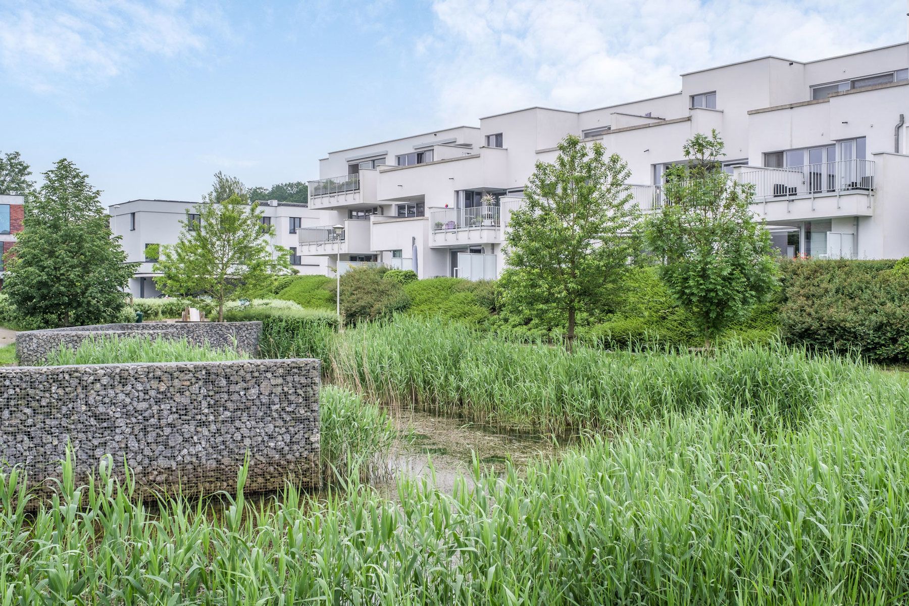 Ruim en energiezuinig (BEN) appartement met zicht op park foto 7