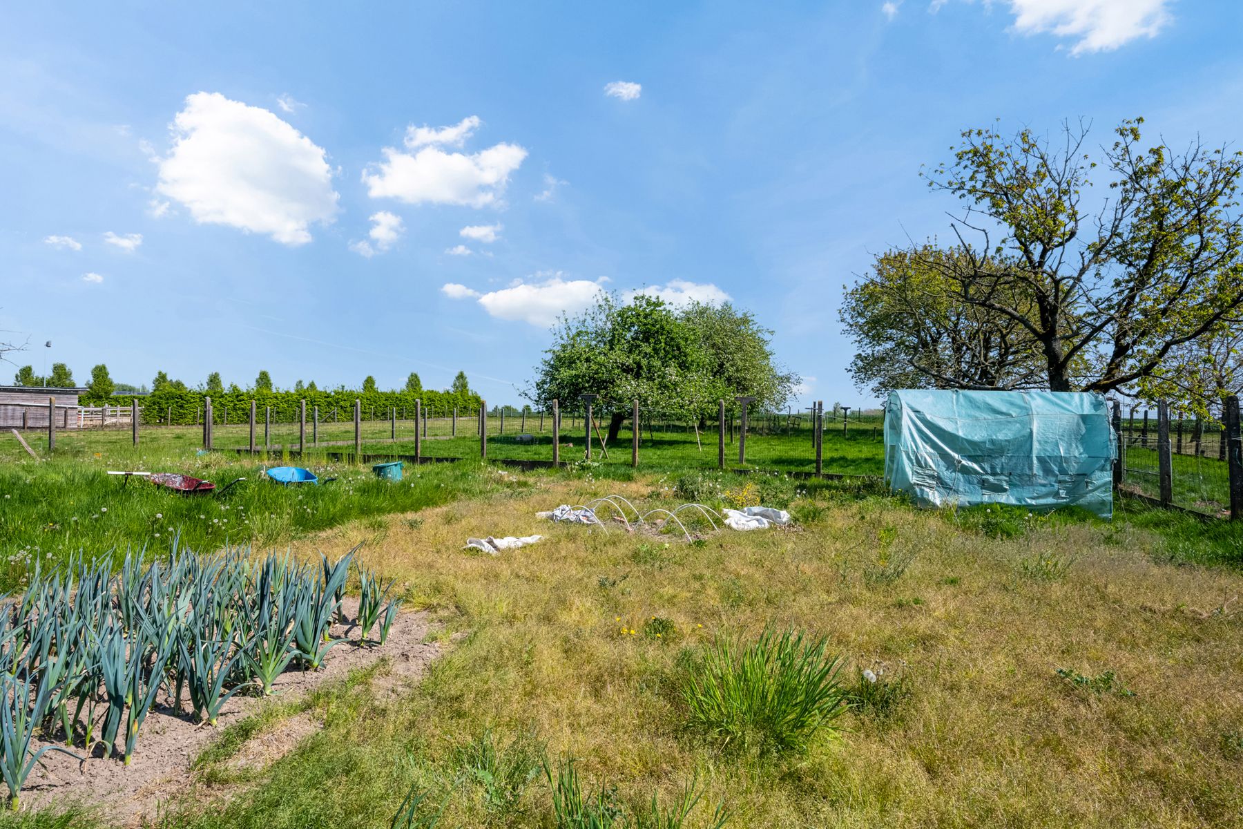 Rustig gelegen woning met boomgaard op 2768m²  foto 6