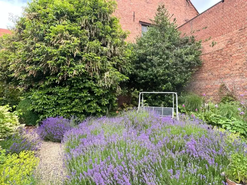 Karaktervolle herenwoning met zonnige tuin foto 27