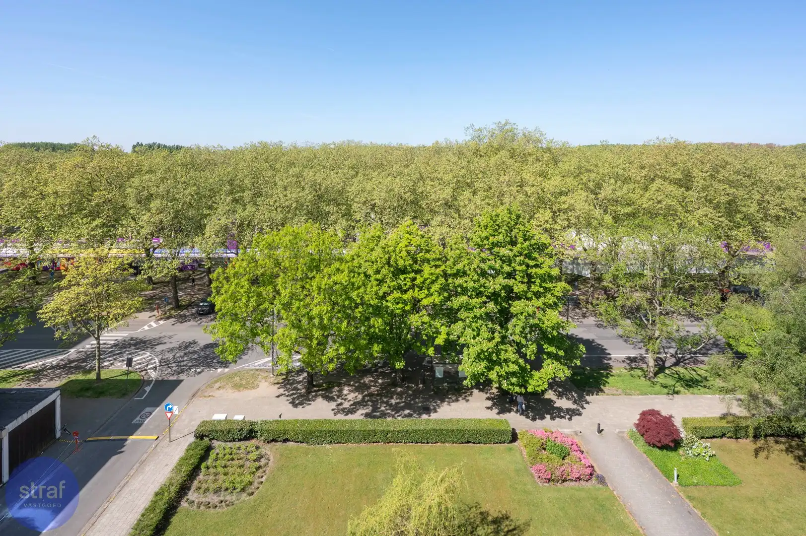 3-slaapkamerappartement in de perfecte mix tussen stad en groen foto 8