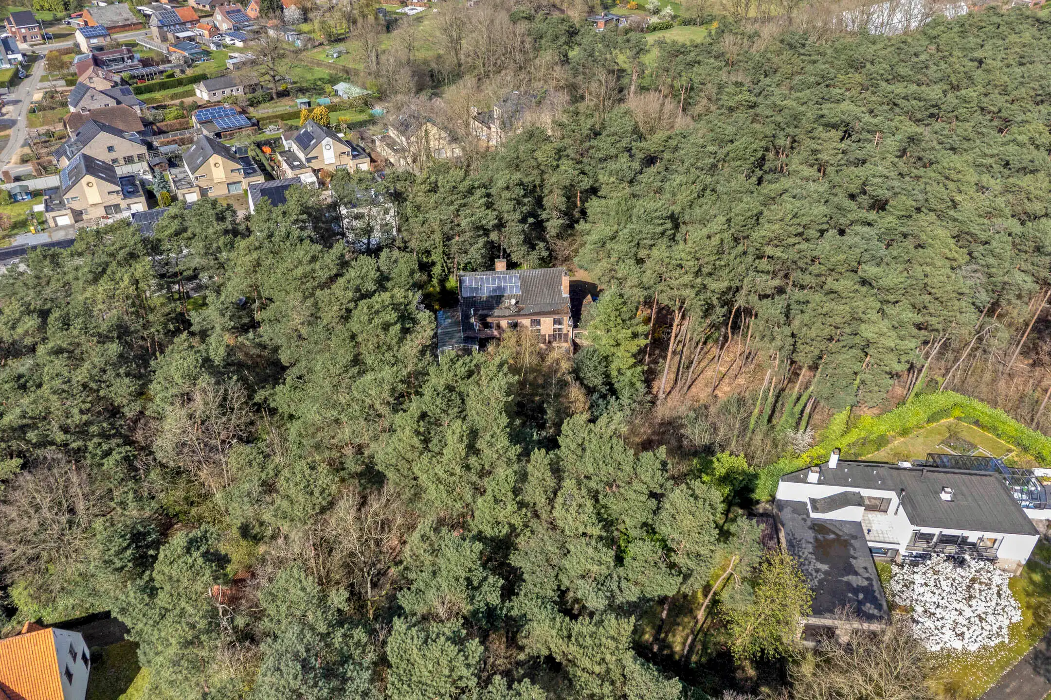 Uniek groen gelegen landhuis met eventuele praktijkruimte foto 7