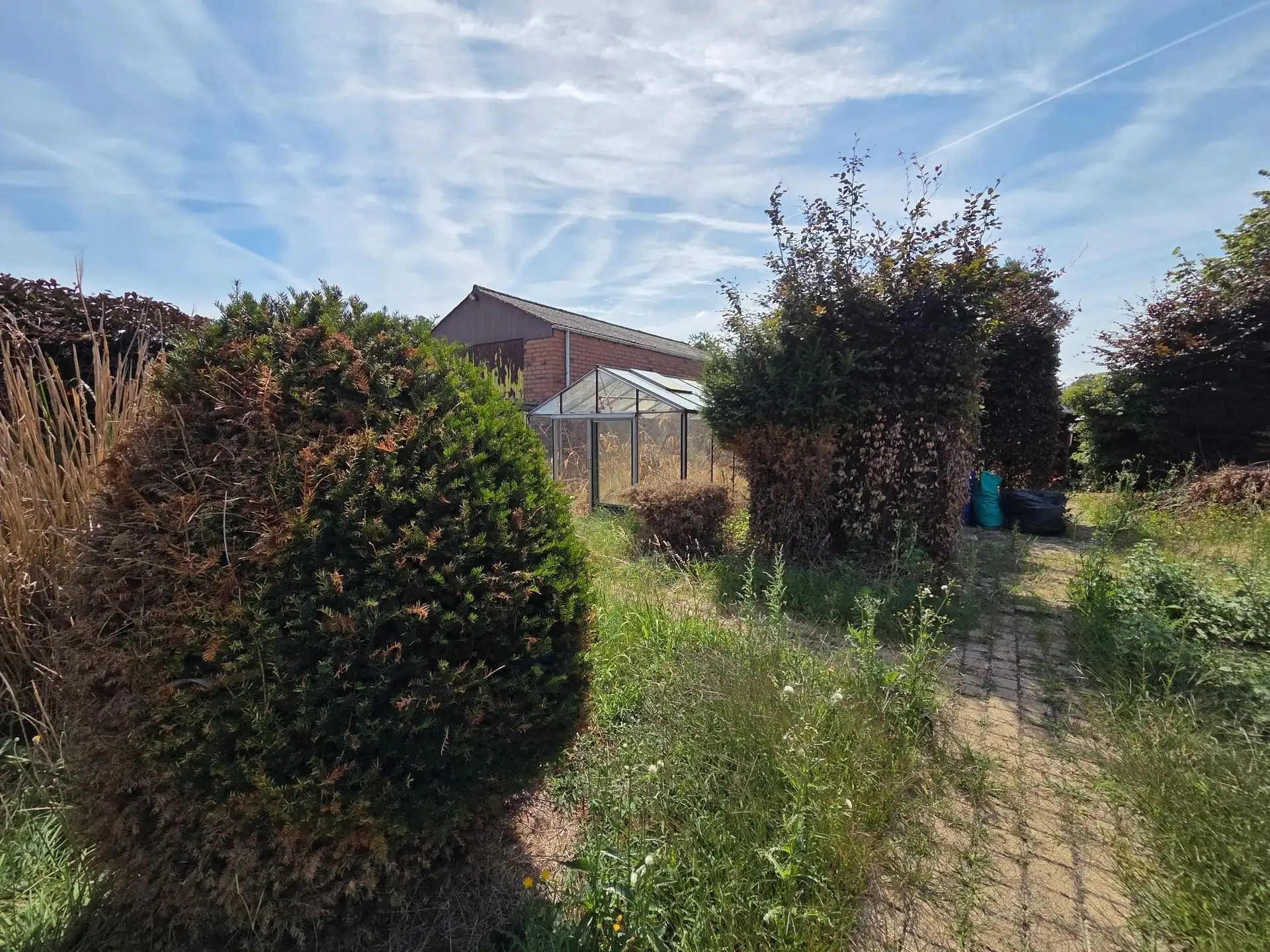 Te renoveren woning, rustig gelegen op een zuidgericht perceel van 581m² foto 14
