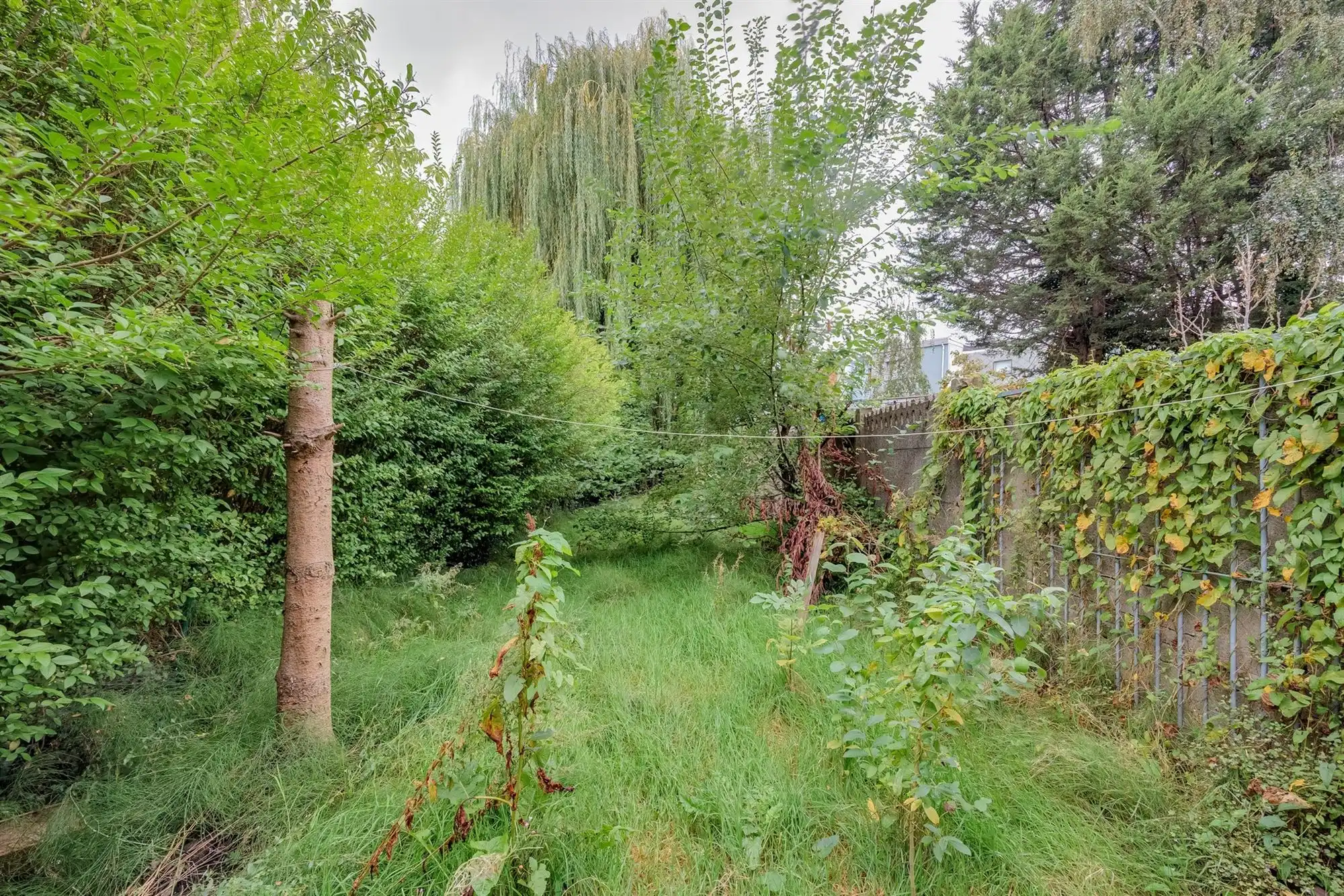 Volledig te renoveren huis met ruime tuin en tal van mogelijkheden! foto 9