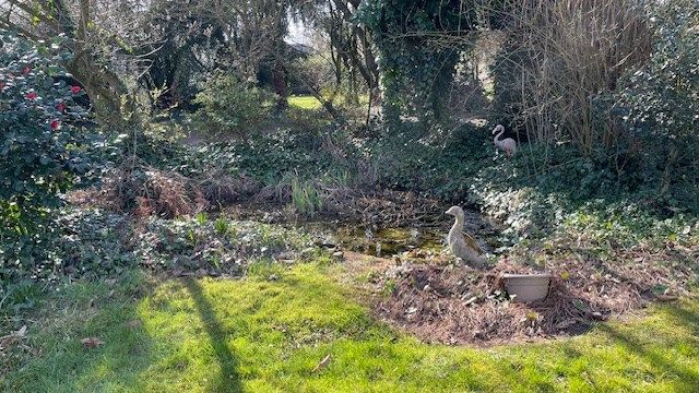 Prachtig verscholen domein met ZW oriëntatie met kleine  bungalowwoning  in Grobbendonk, op een perceel van 1530 m², foto 20