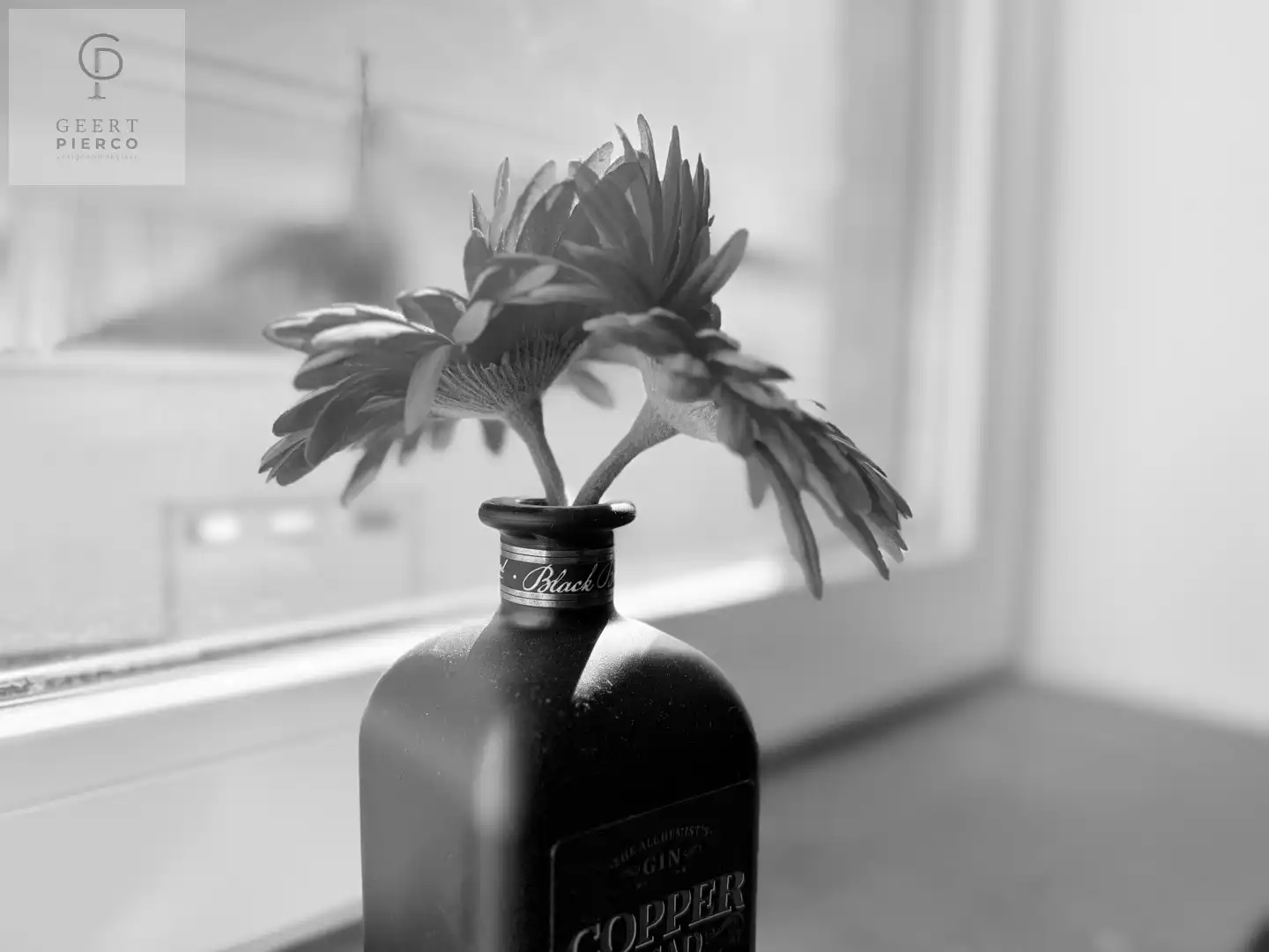 Gezellige gezinswoning foto 30