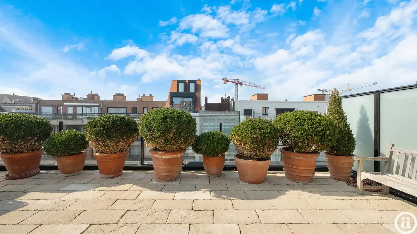 Penthouse appartement met grote zonneterrassen nabij strand  foto 8