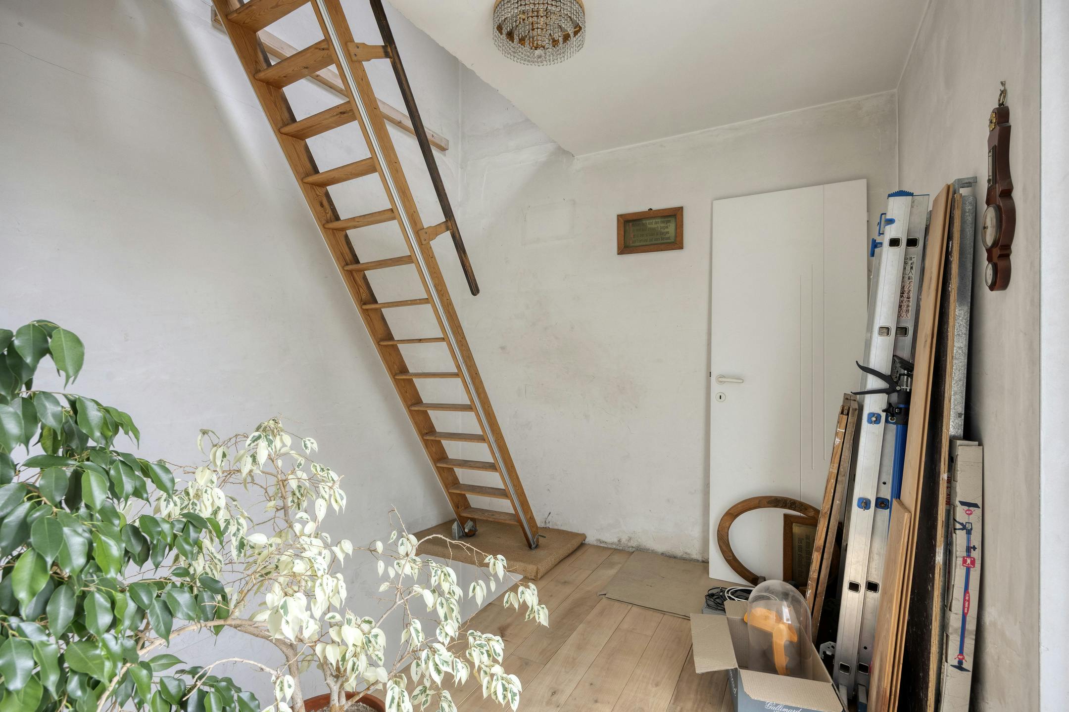 Ruime woning met tuin en handelsruimte of kantoor op glvl foto 16