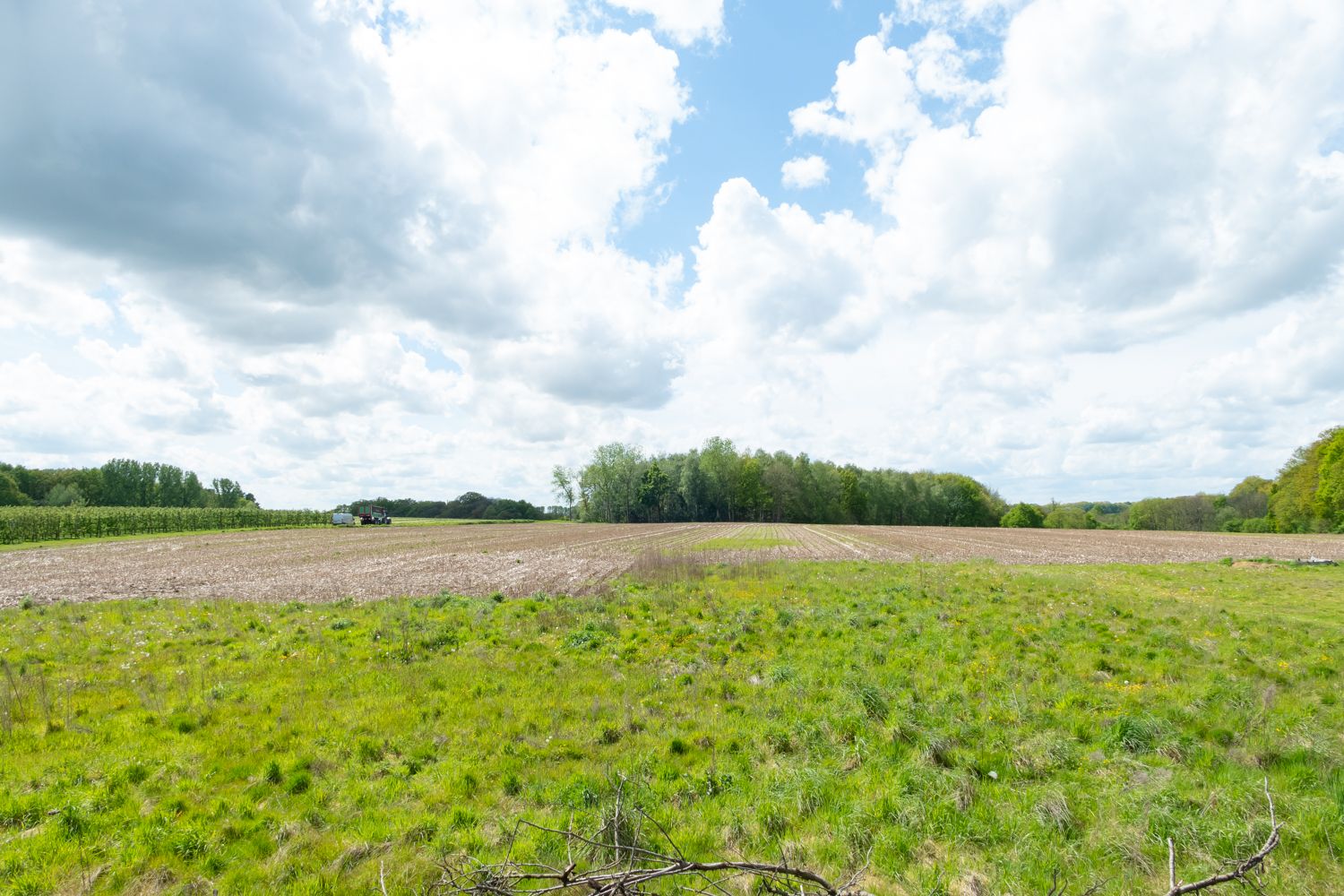 PROJECT DE RODE = VERHUIZEN BINNEN 4 MAANDEN foto 6