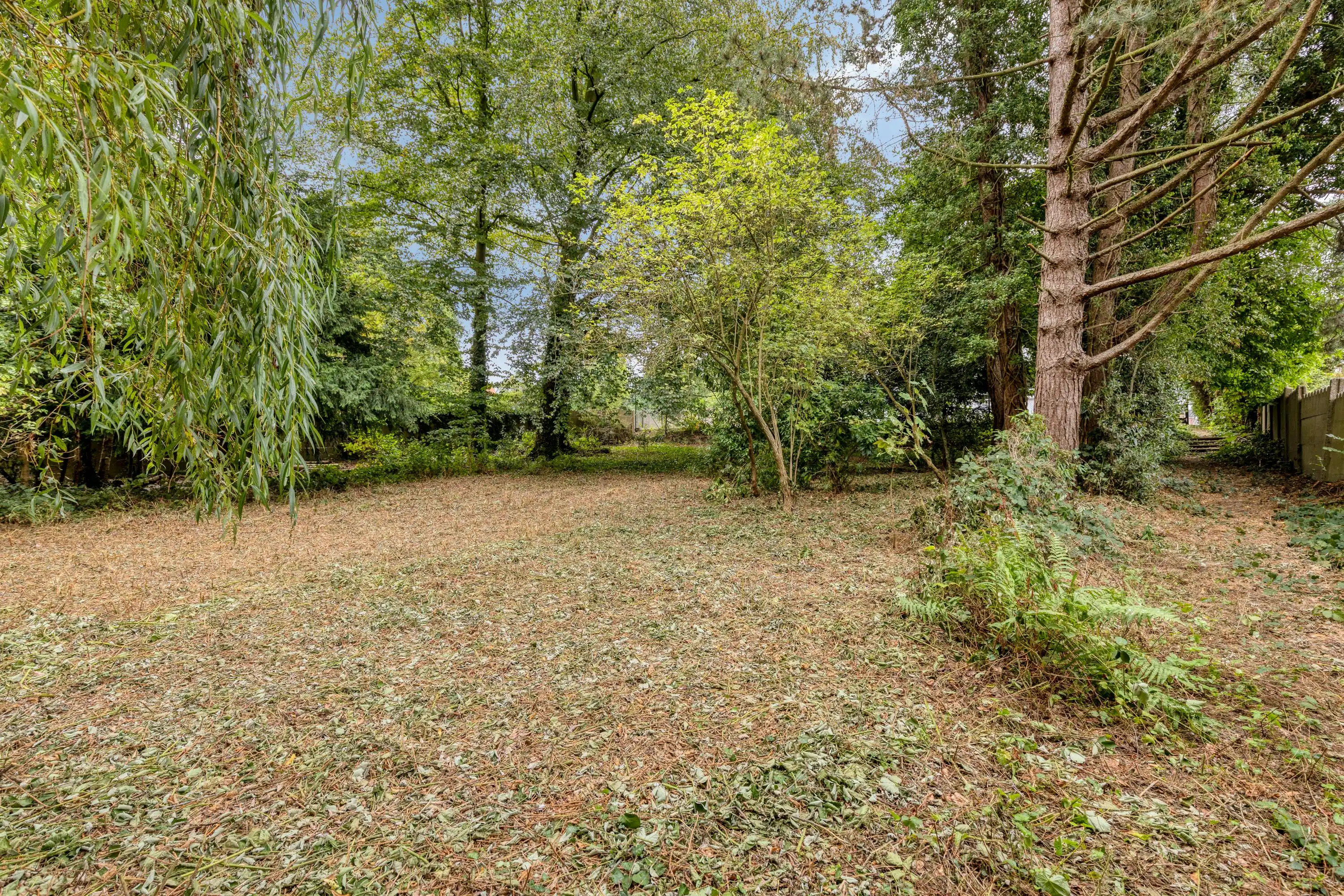 Ruime woning  (9 slaapkamers) op een perceel van 1.608 m². foto 2