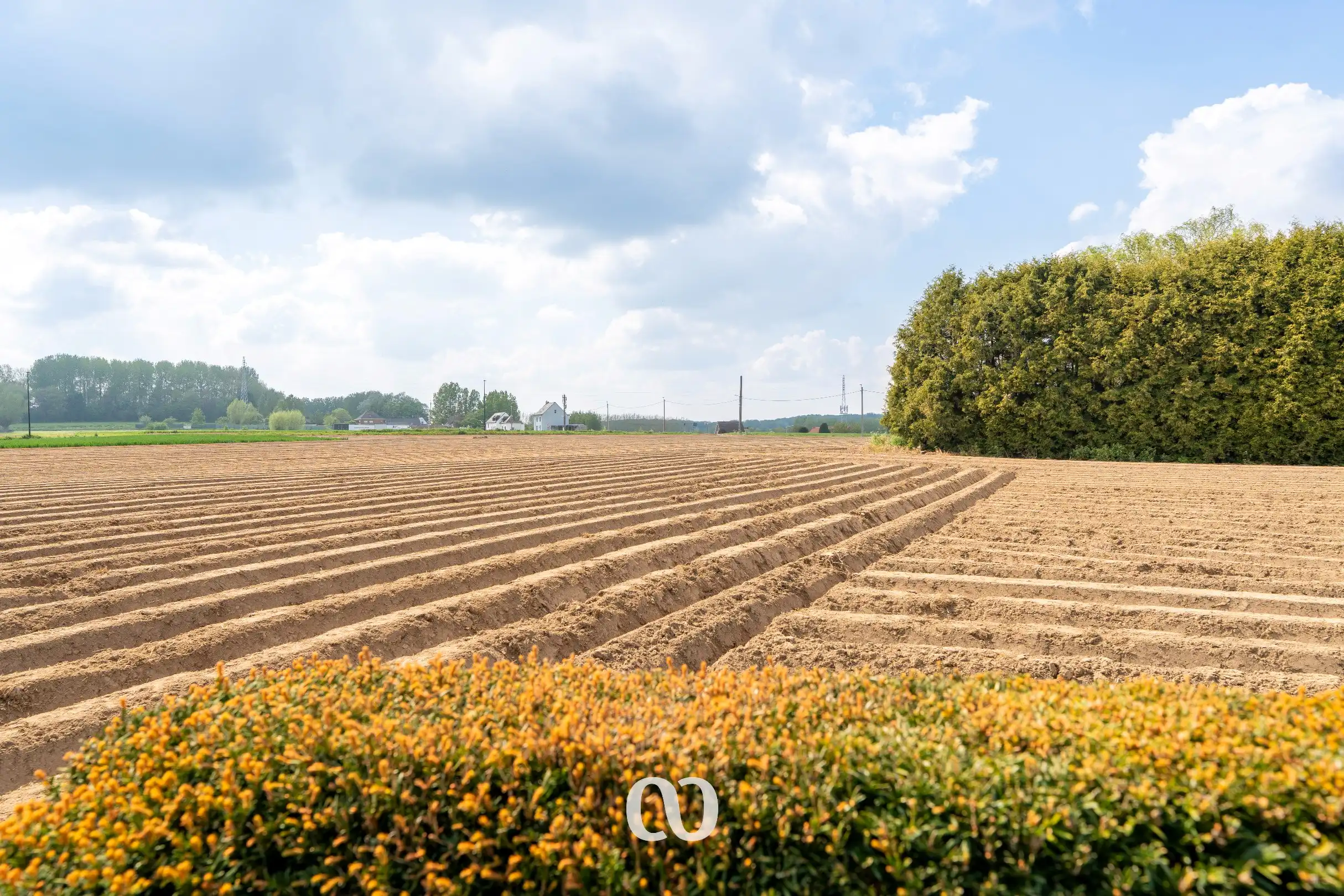 Prachtig gelegen gezinswoning met tuin en uitzicht in het centrum van Etikhove foto 19