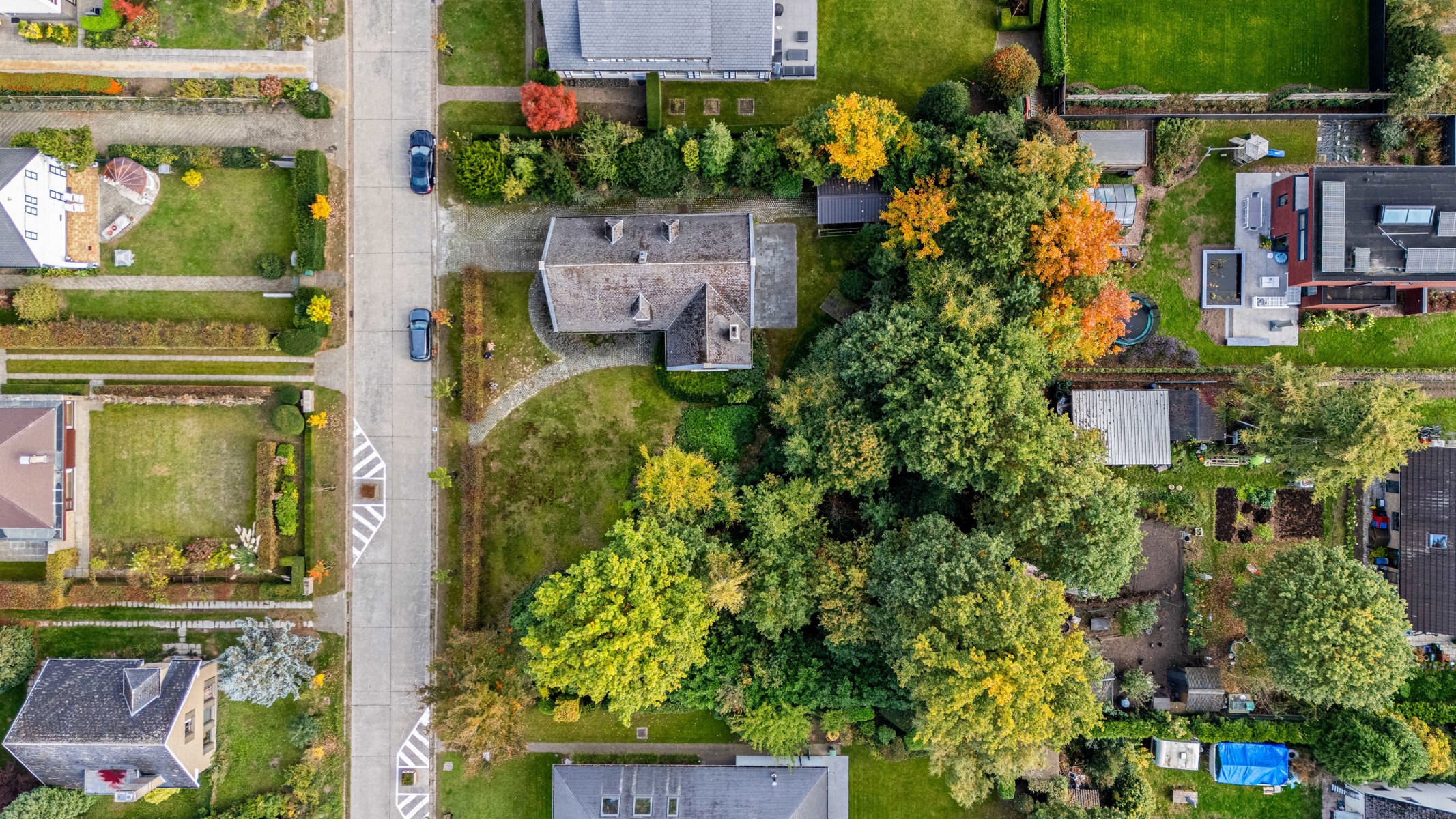 Ruime villa in een rustige buitenwijk van Wetteren  foto 2