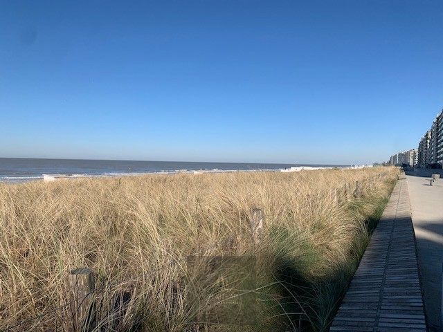 Te renoveren appartement met één slaapkamer op 20m van zee te Westende. foto {{pictureIndex}}