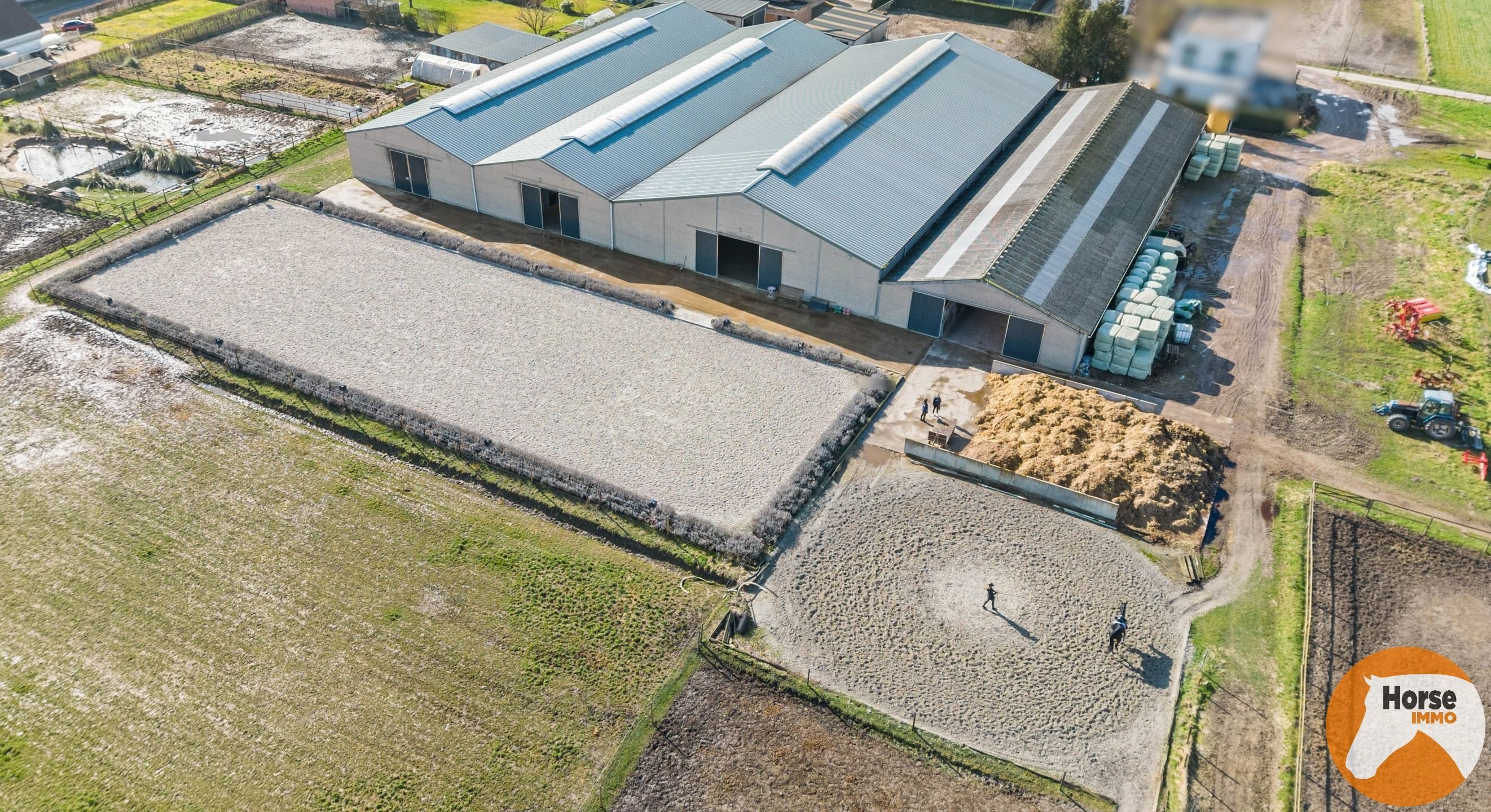 KAMPENHOUT - Professionele paardenaccommodatie op 4ha28 foto 3