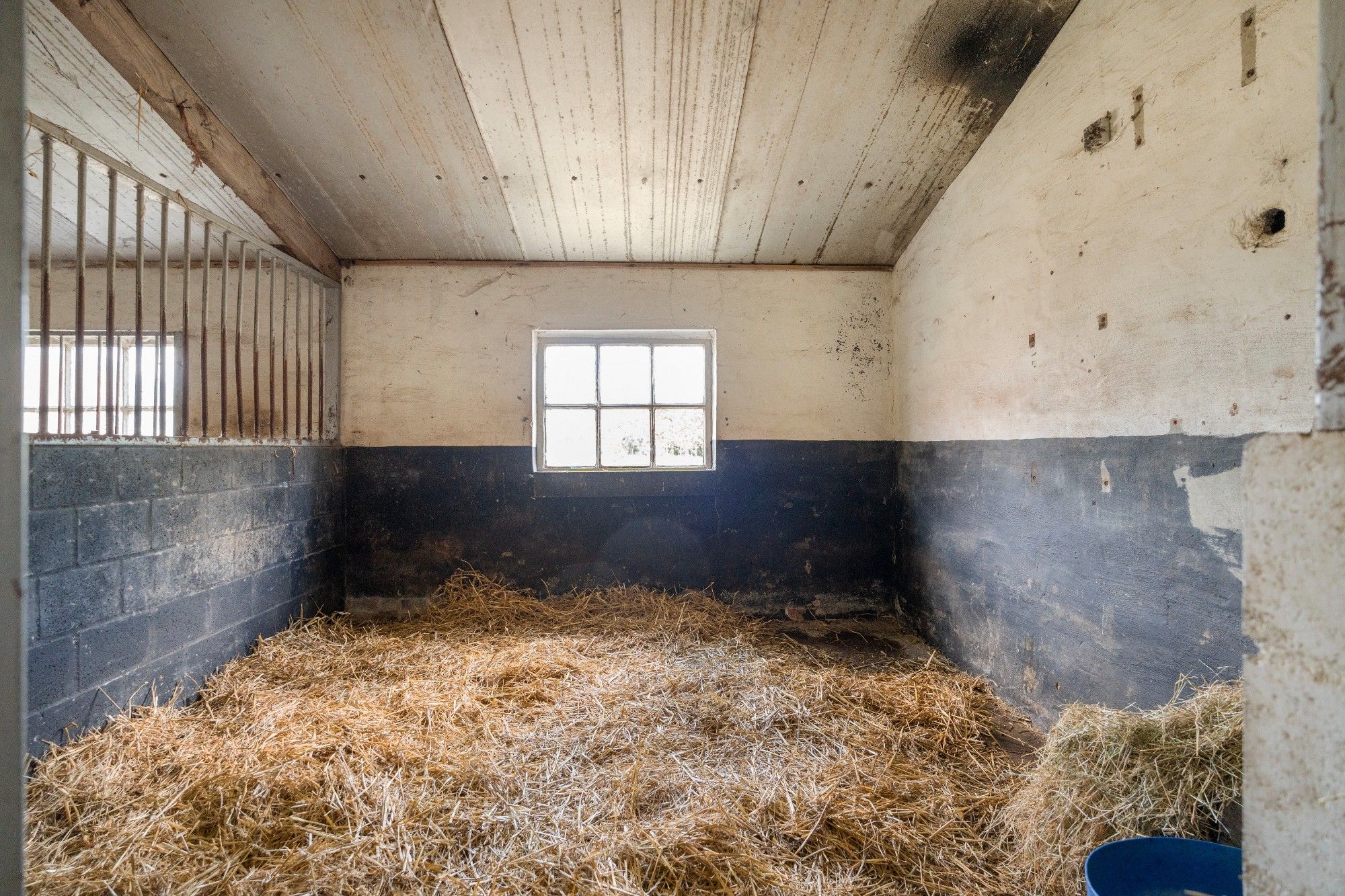 Charmante hoeve met paardenstallingen en schuur op 11.908 m² vlakbij het Drongengoed foto 28