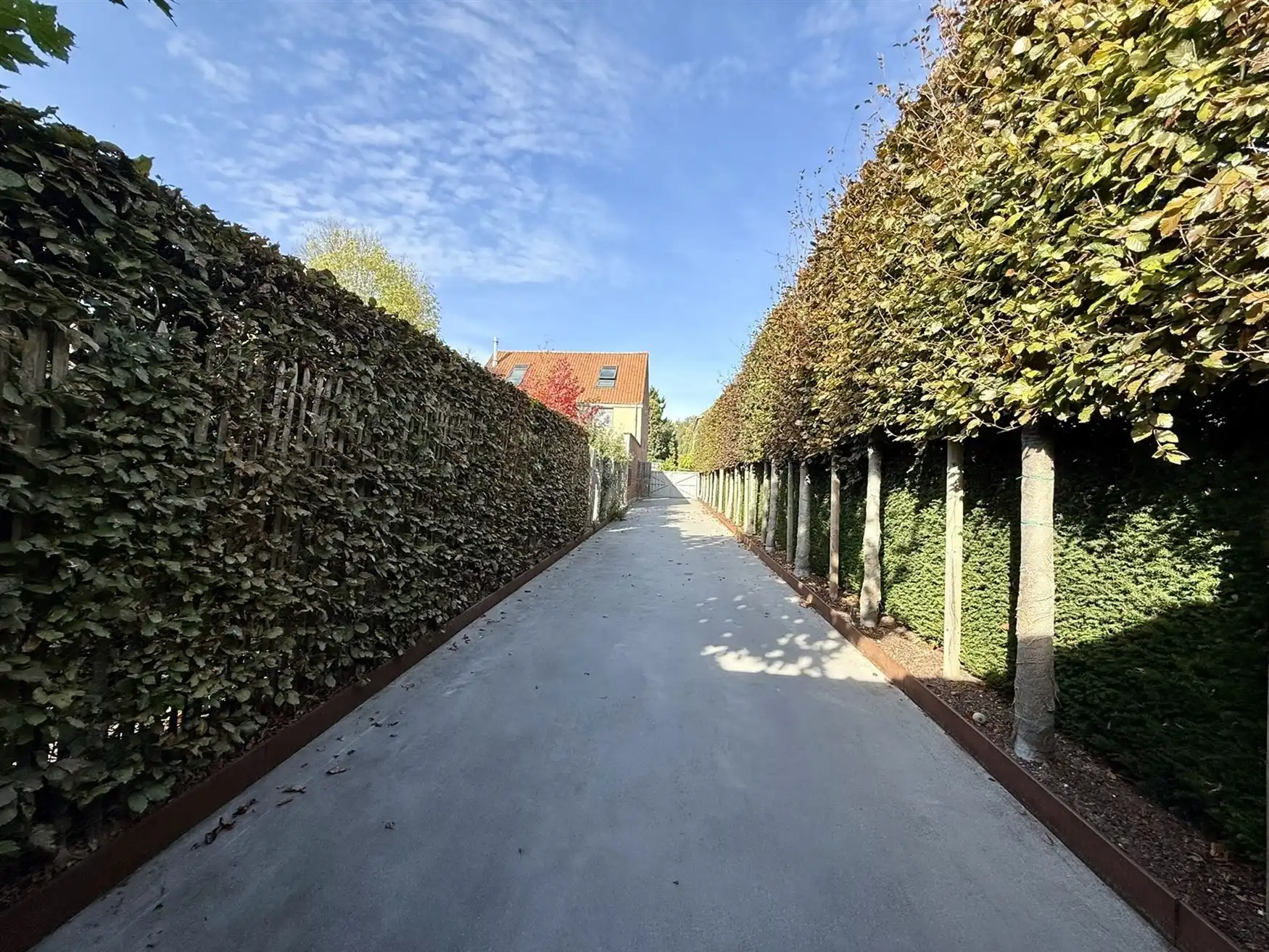 Hoogwaardig afgewerkte herenwoning + bijgebouw 84m2. foto 5