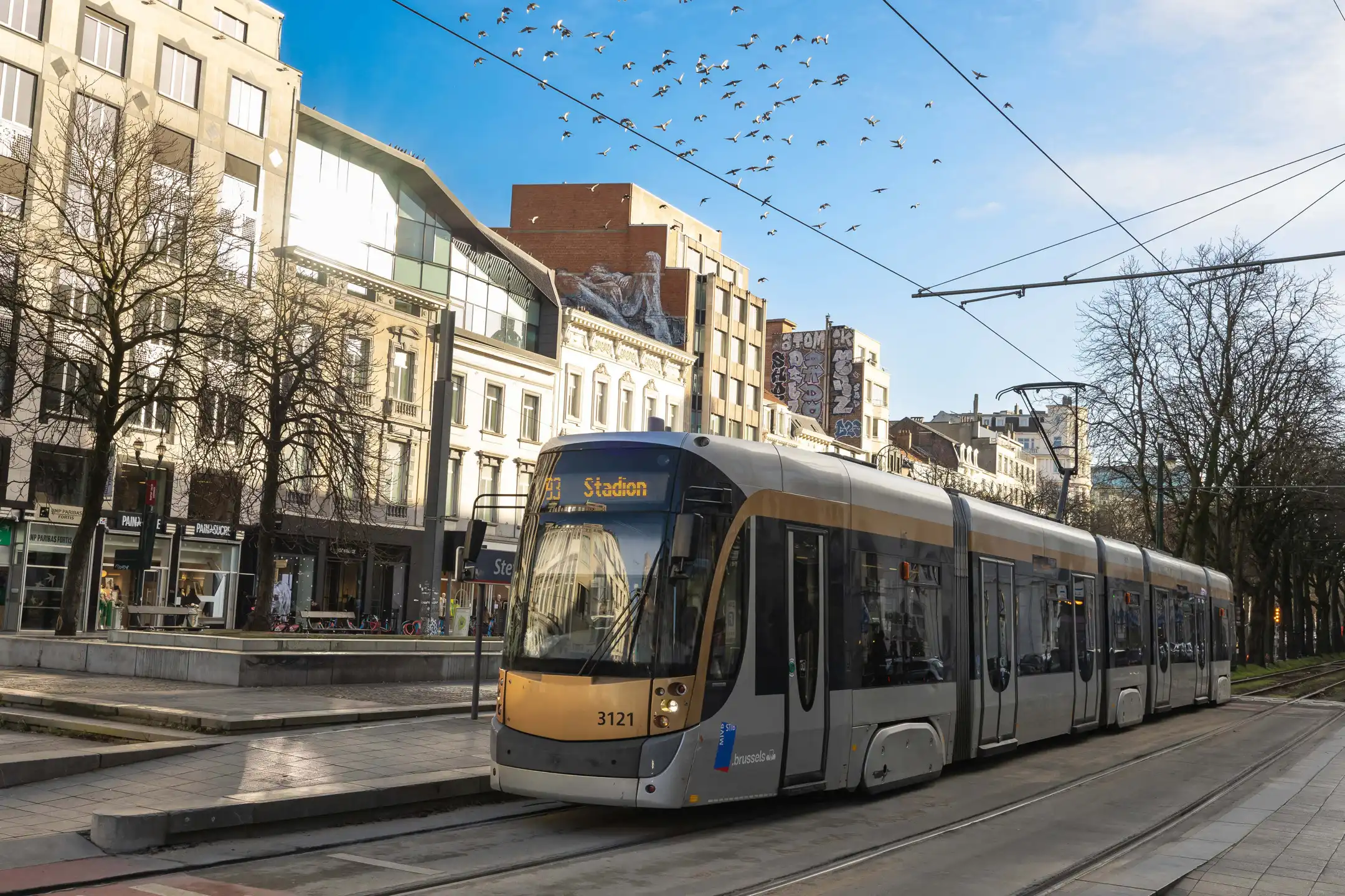 Volume en licht gecombineerd voor uitzonderlijk comfort! foto 16